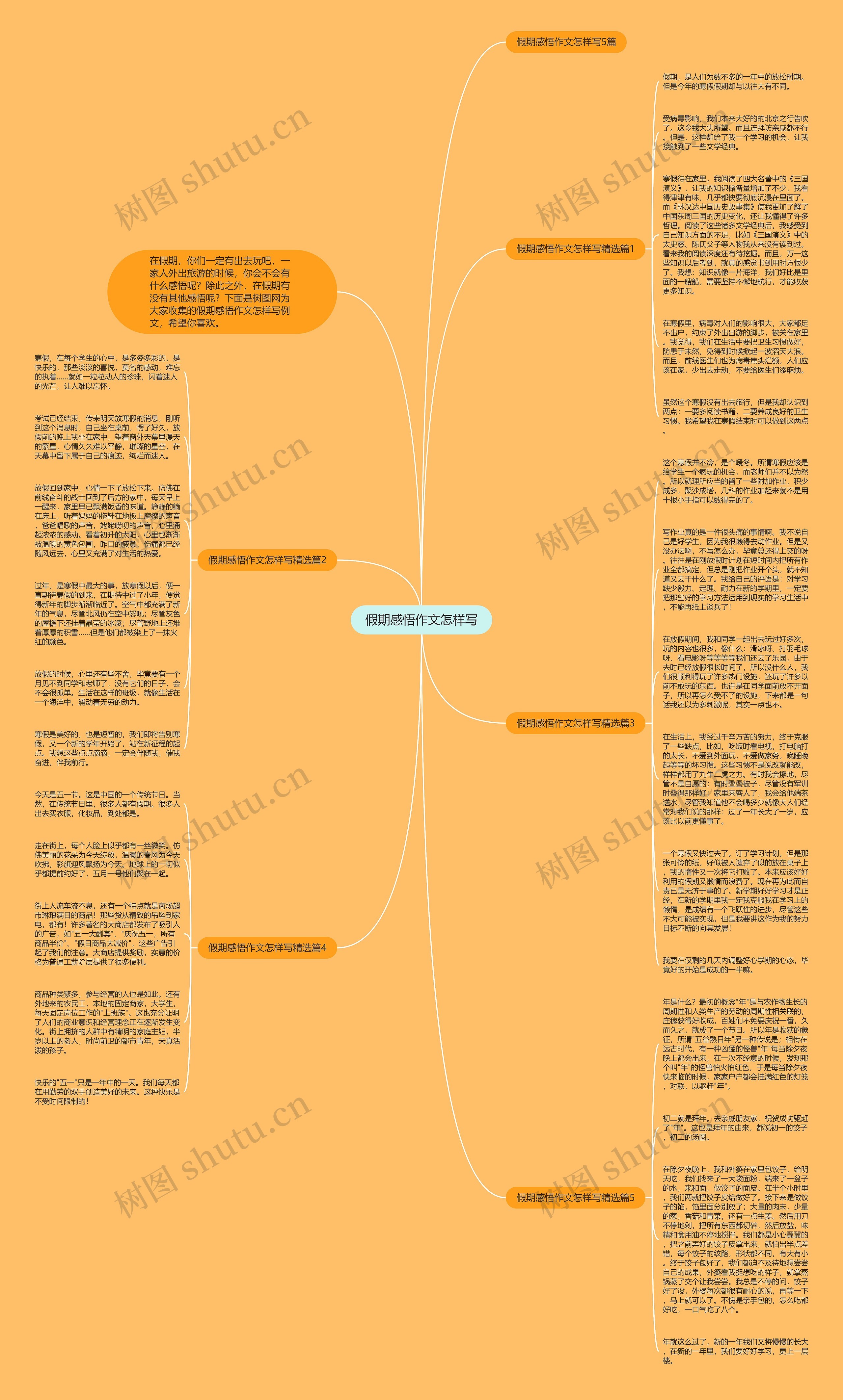 假期感悟作文怎样写思维导图
