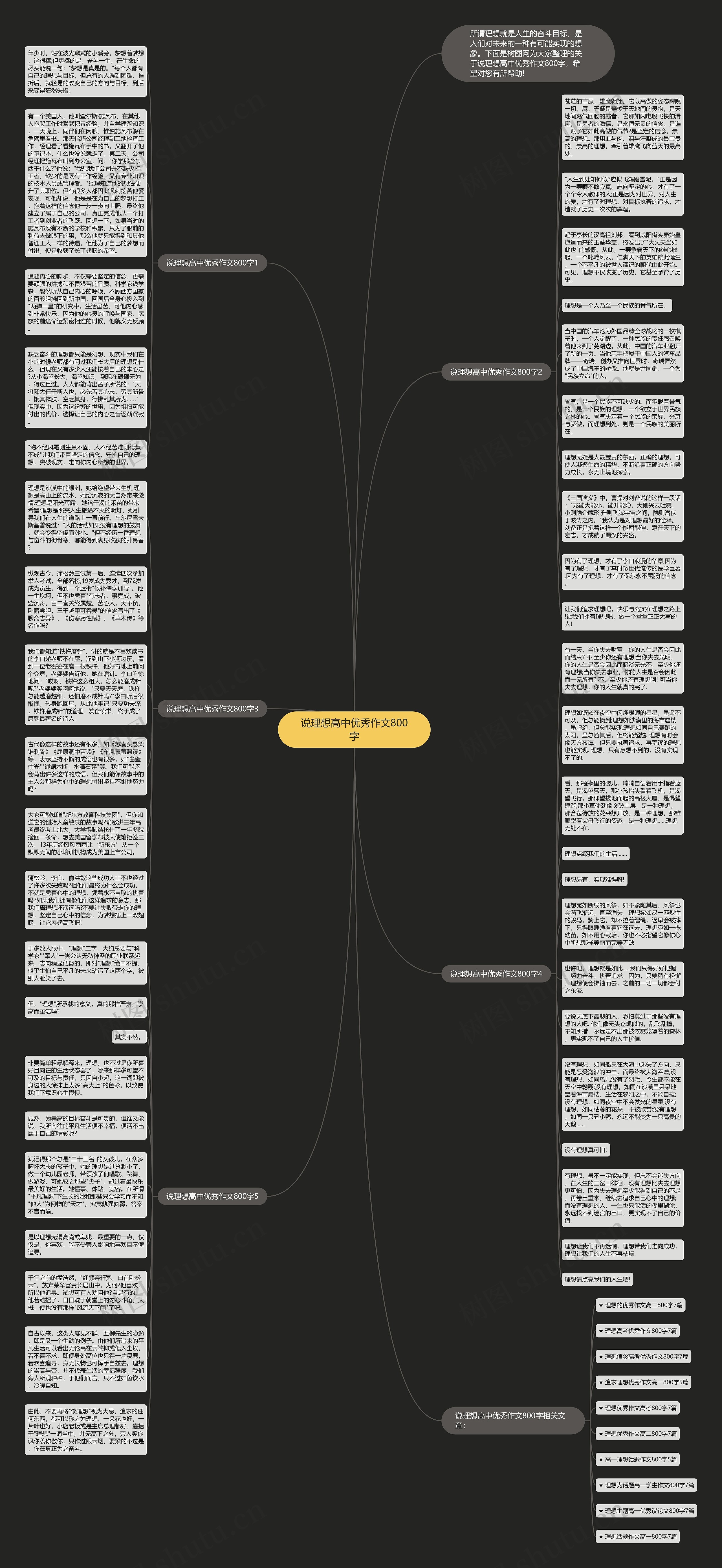 说理想高中优秀作文800字思维导图