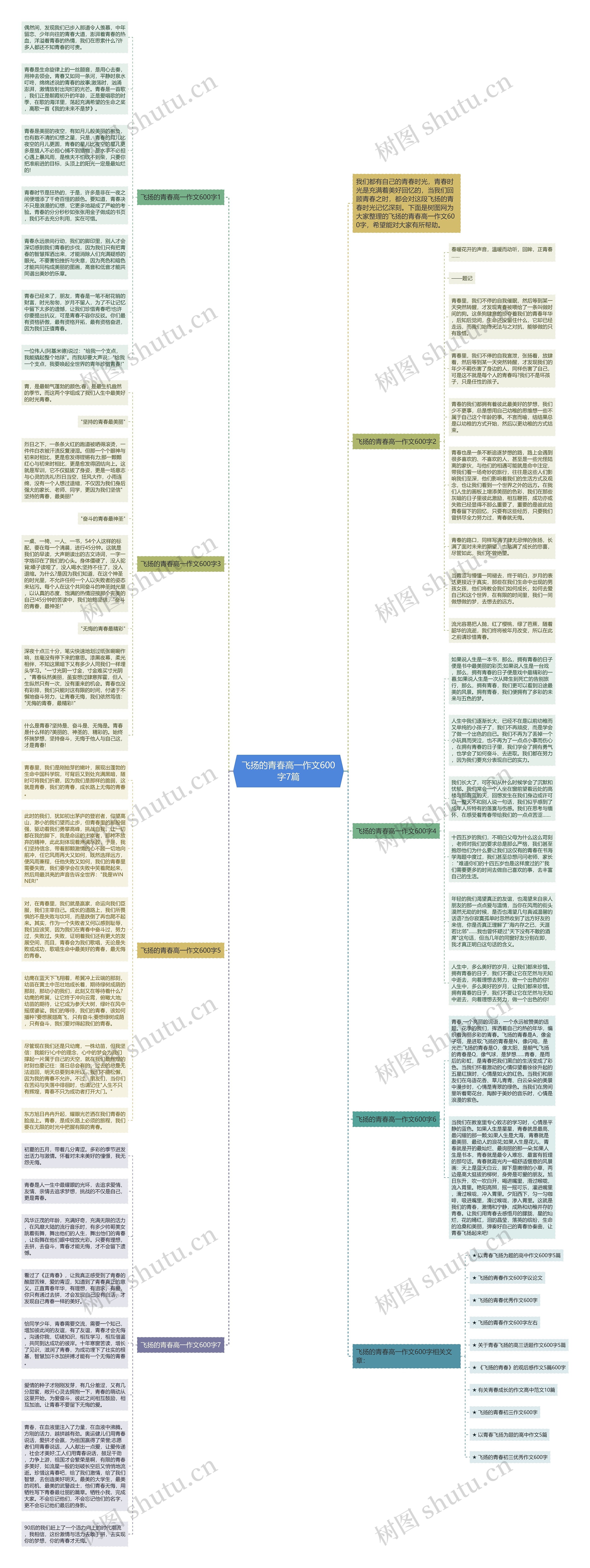 飞扬的青春高一作文600字7篇思维导图