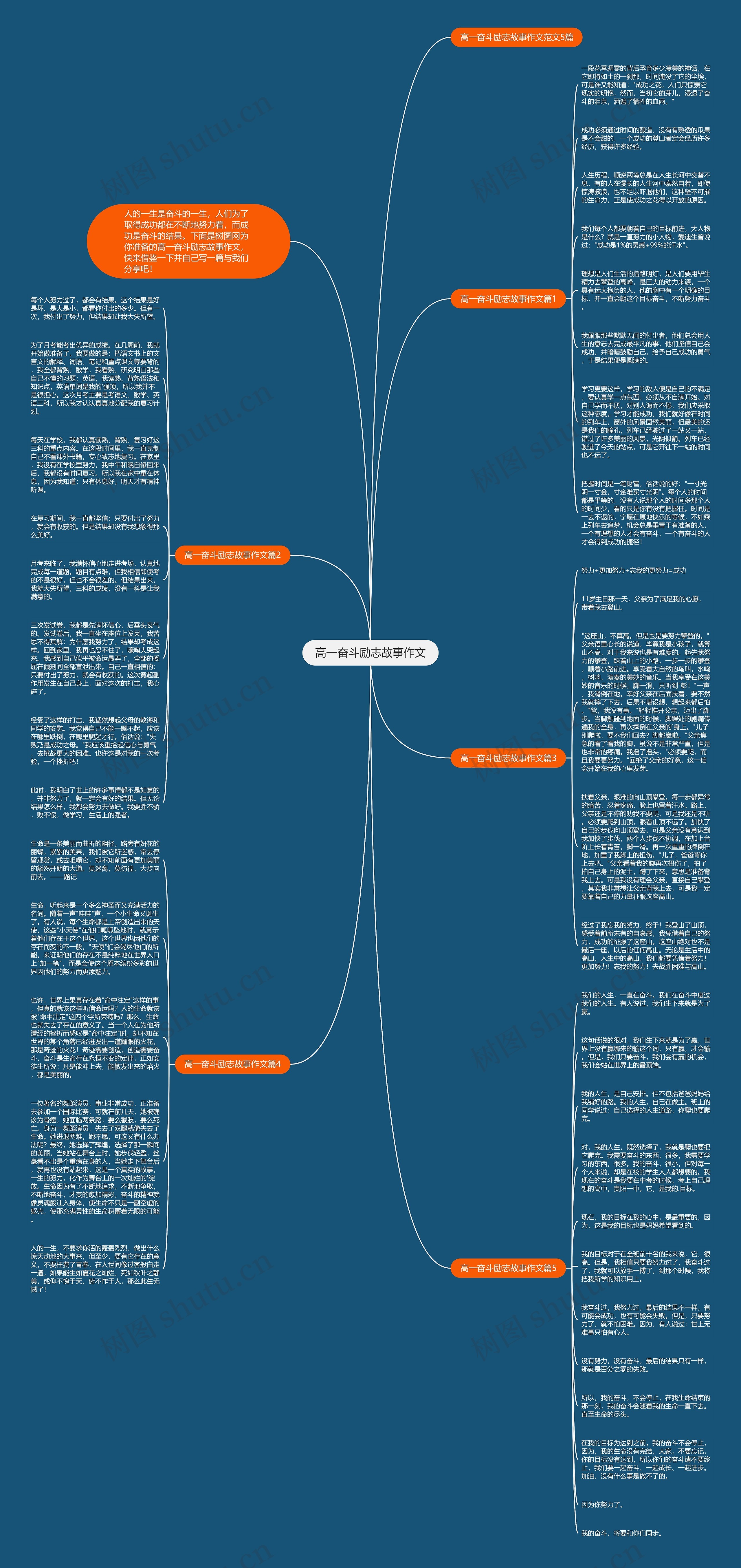 高一奋斗励志故事作文思维导图