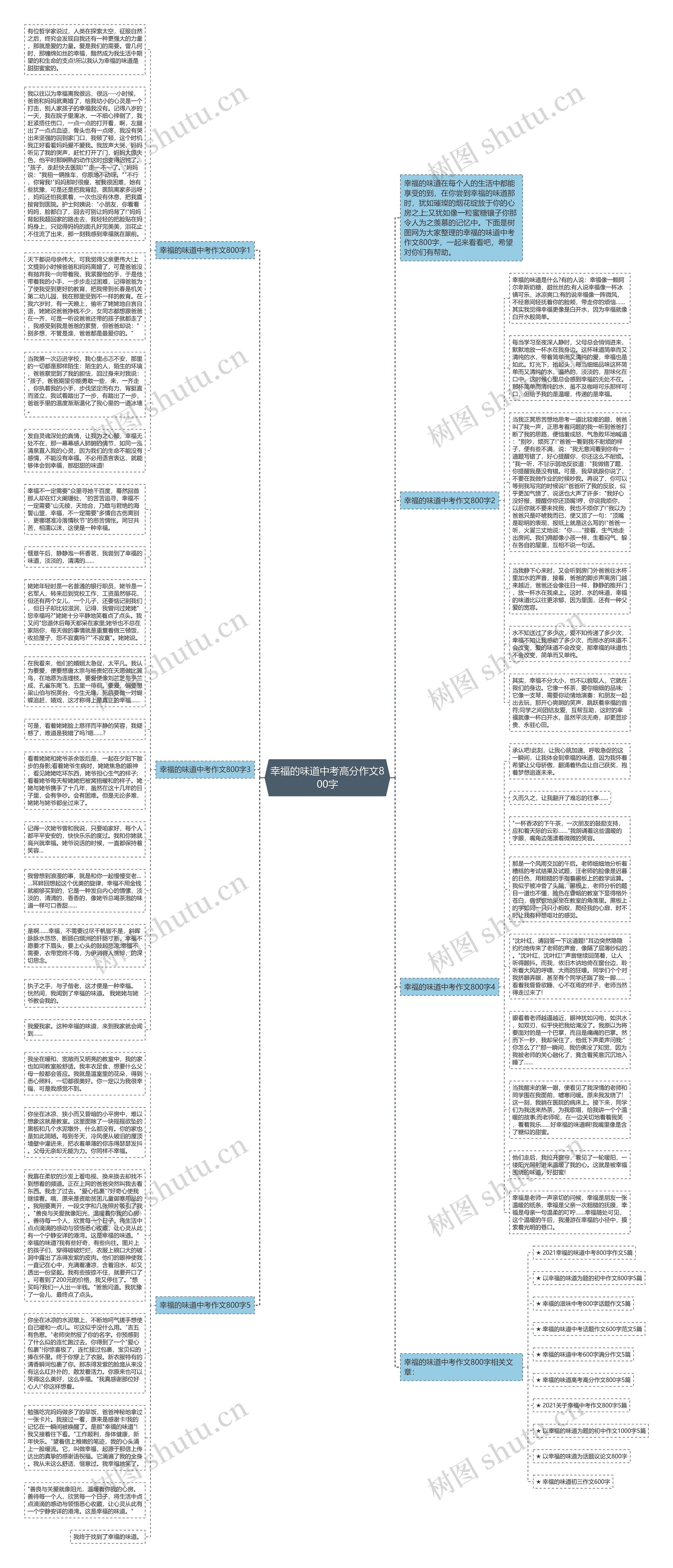 幸福的味道中考高分作文800字思维导图