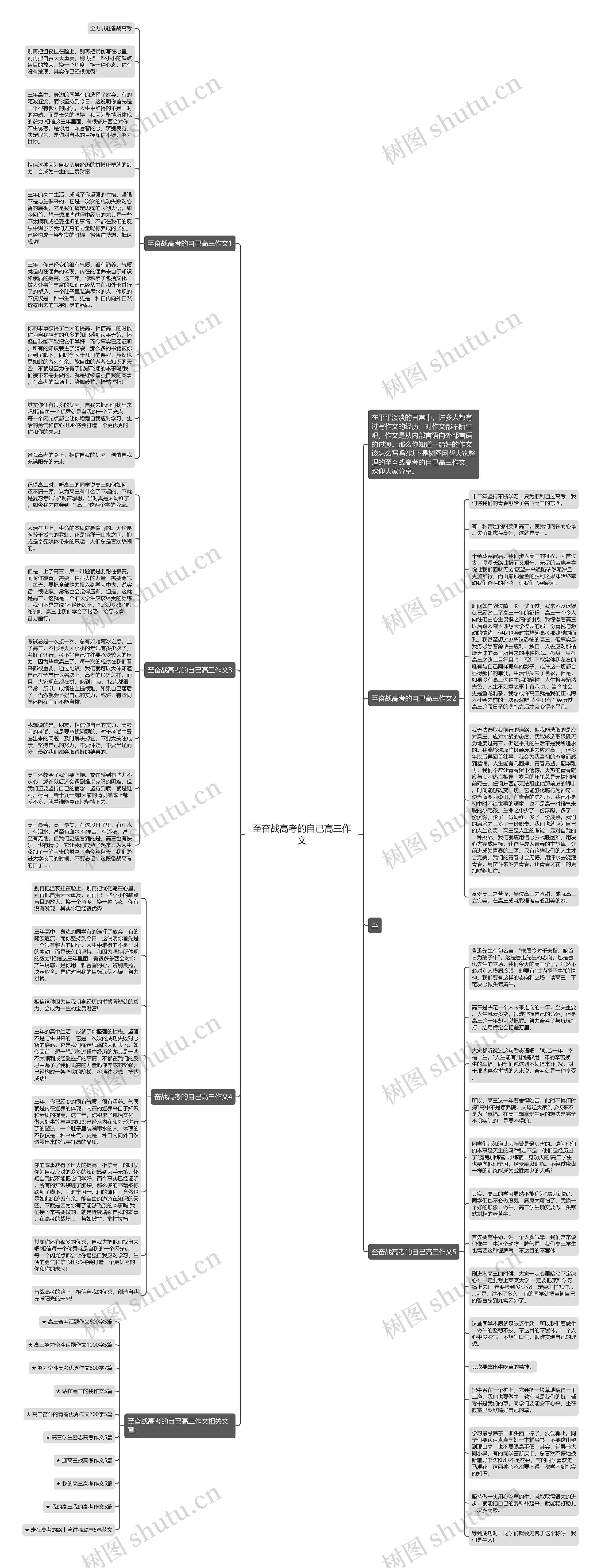 至奋战高考的自己高三作文思维导图