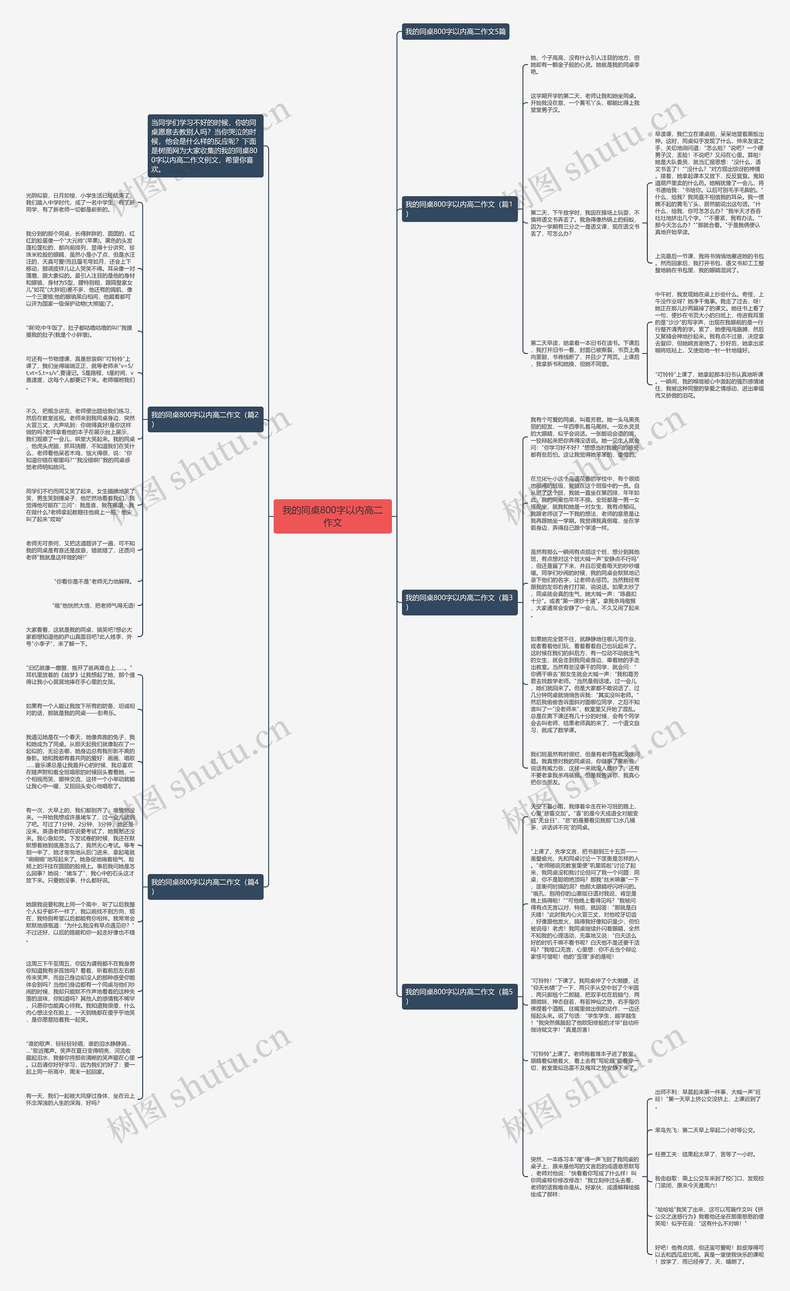 我的同桌800字以内高二作文思维导图