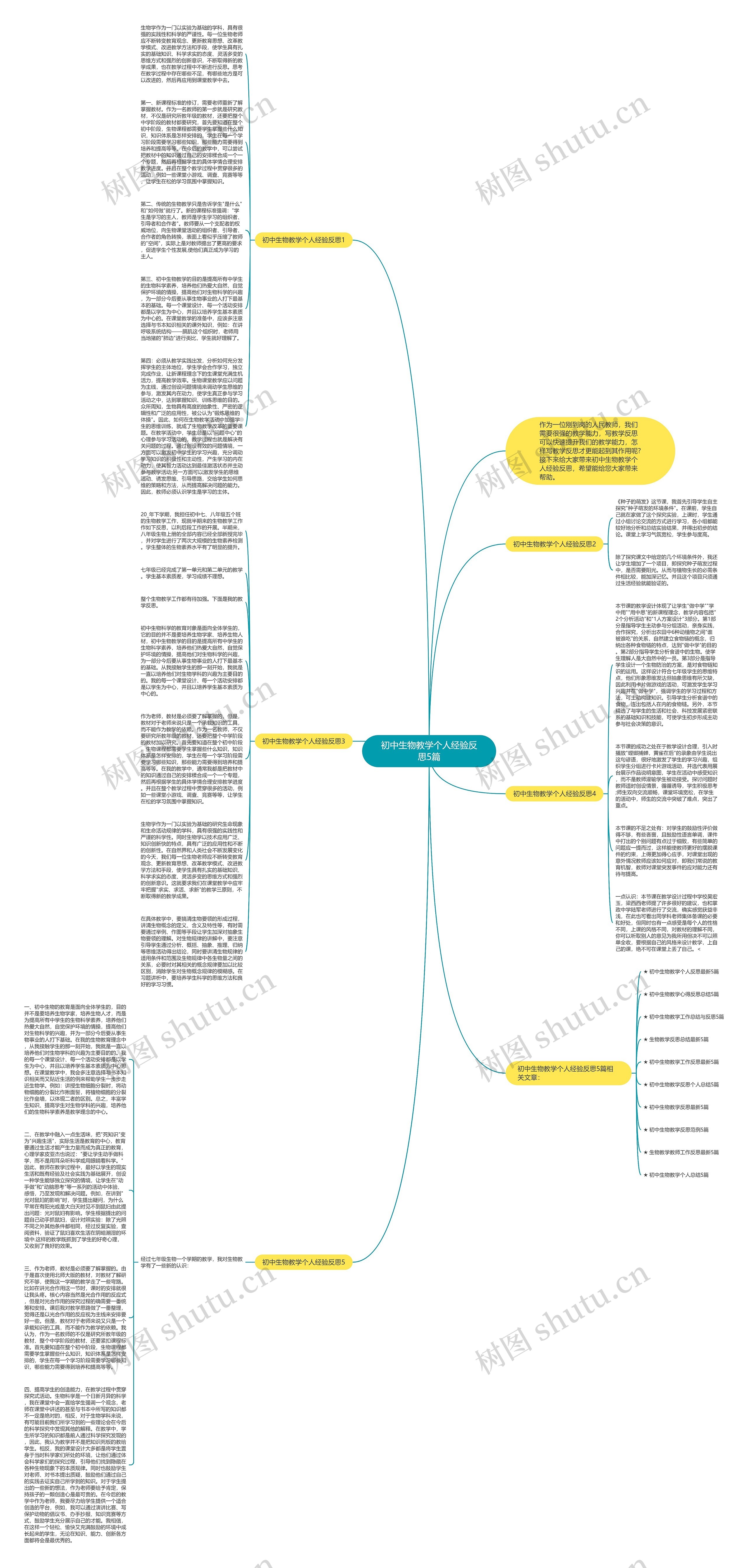 初中生物教学个人经验反思5篇思维导图高清图 初中生物教学个人经验反思5篇思维导图