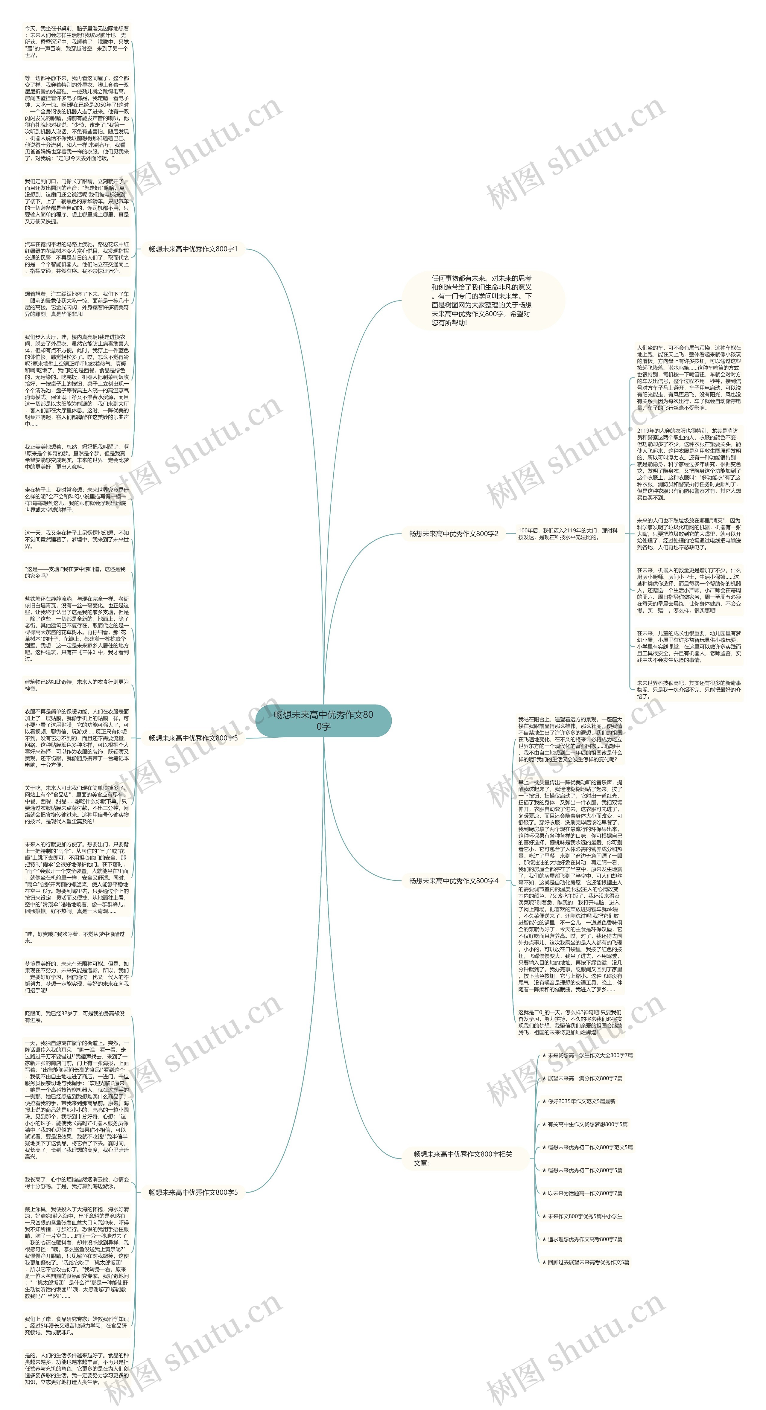 畅想未来高中优秀作文800字思维导图