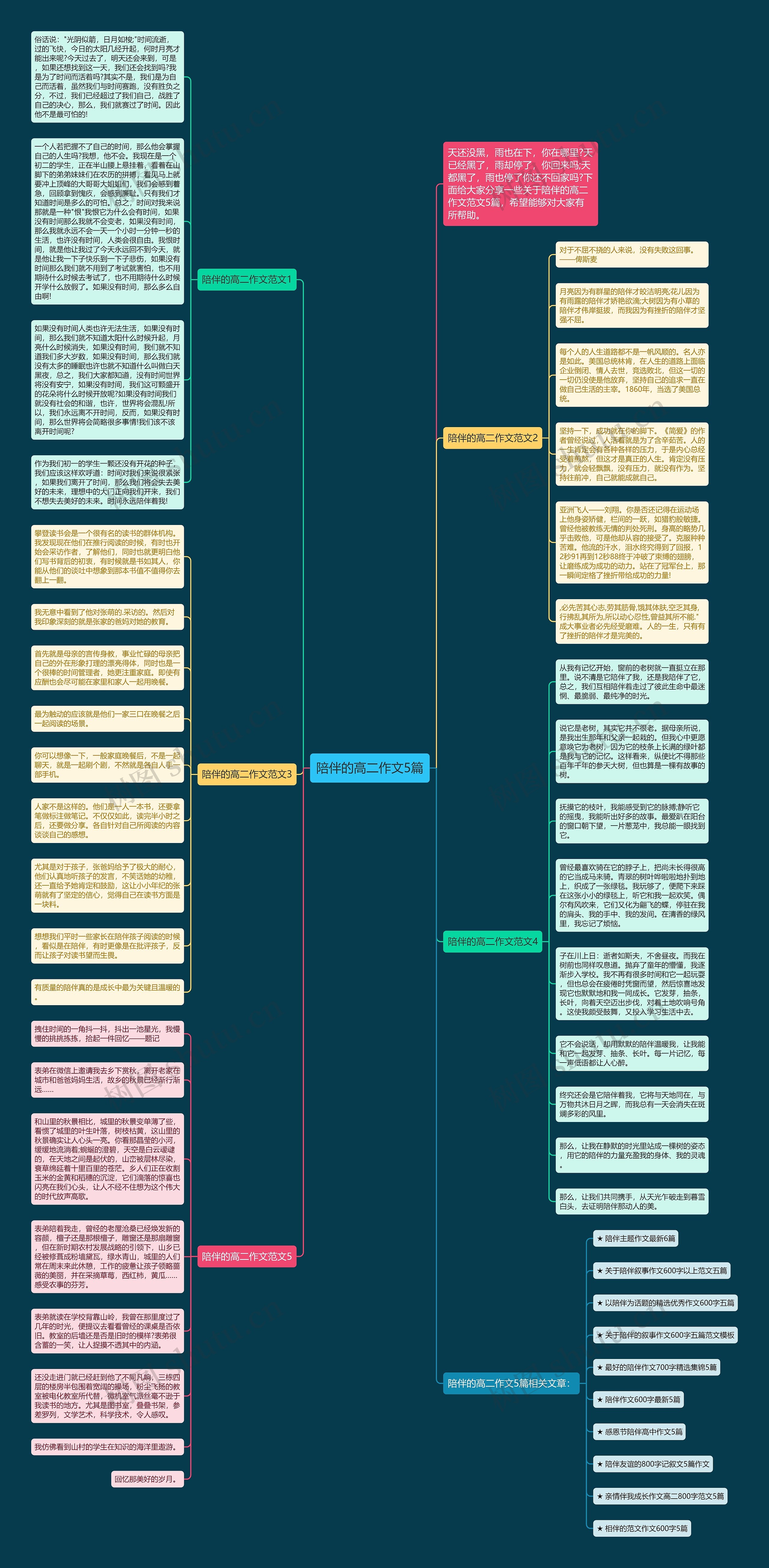 陪伴的高二作文5篇思维导图