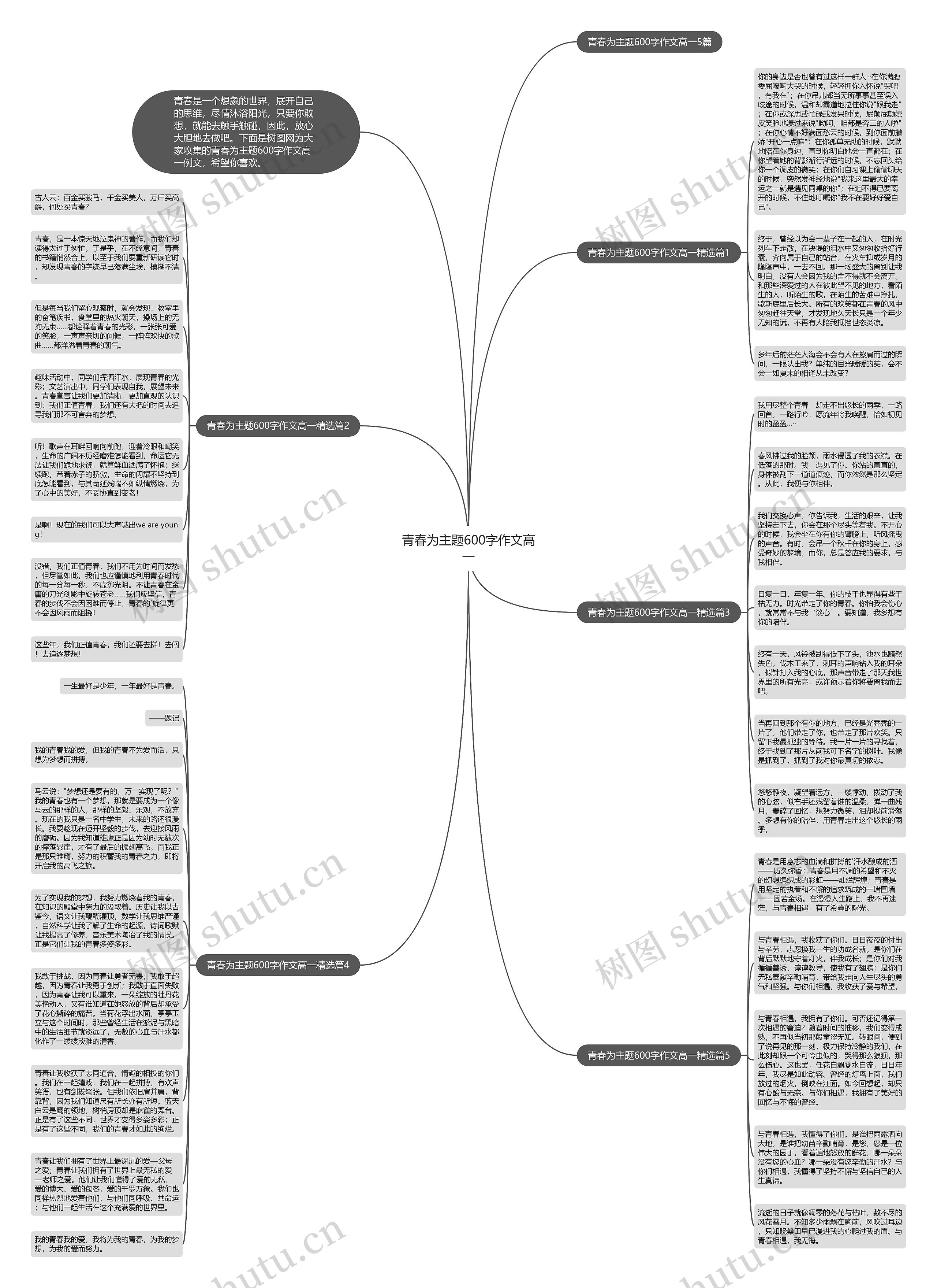 青春为主题600字作文高一思维导图