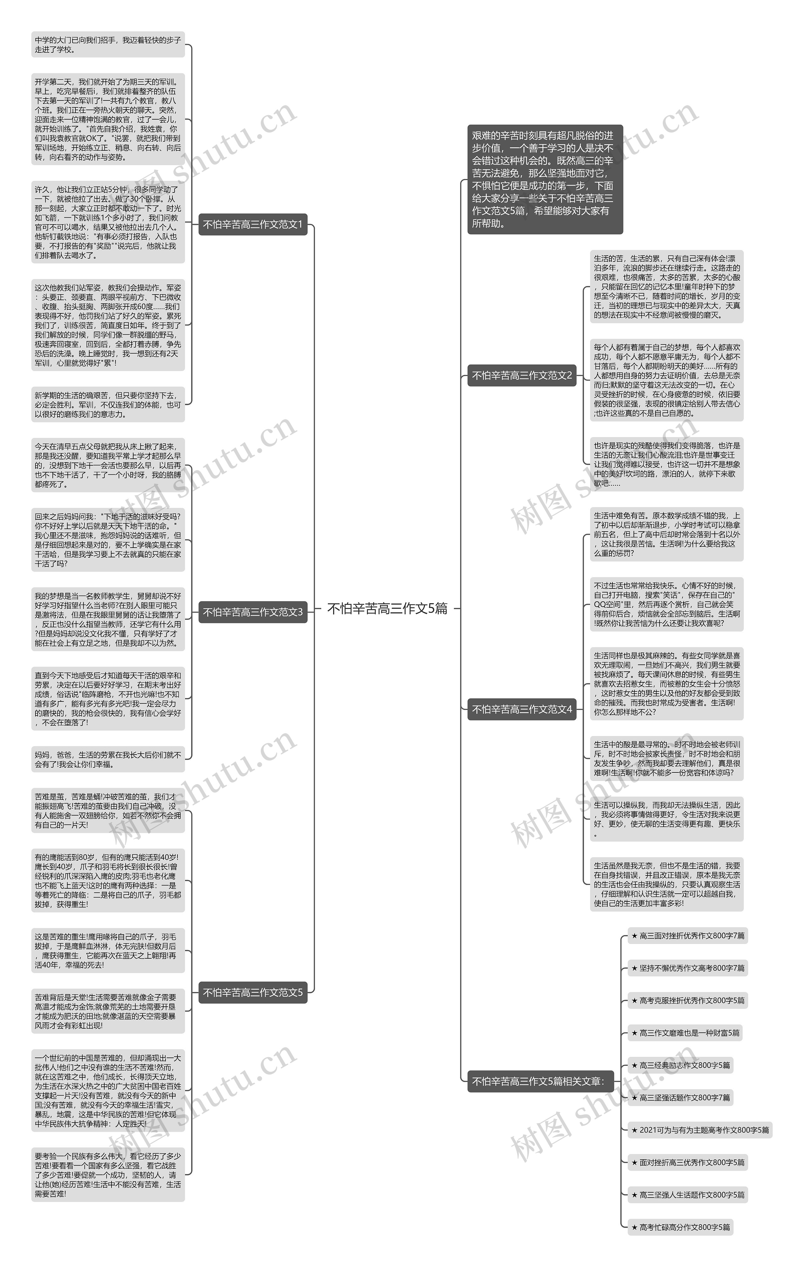 不怕辛苦高三作文5篇思维导图