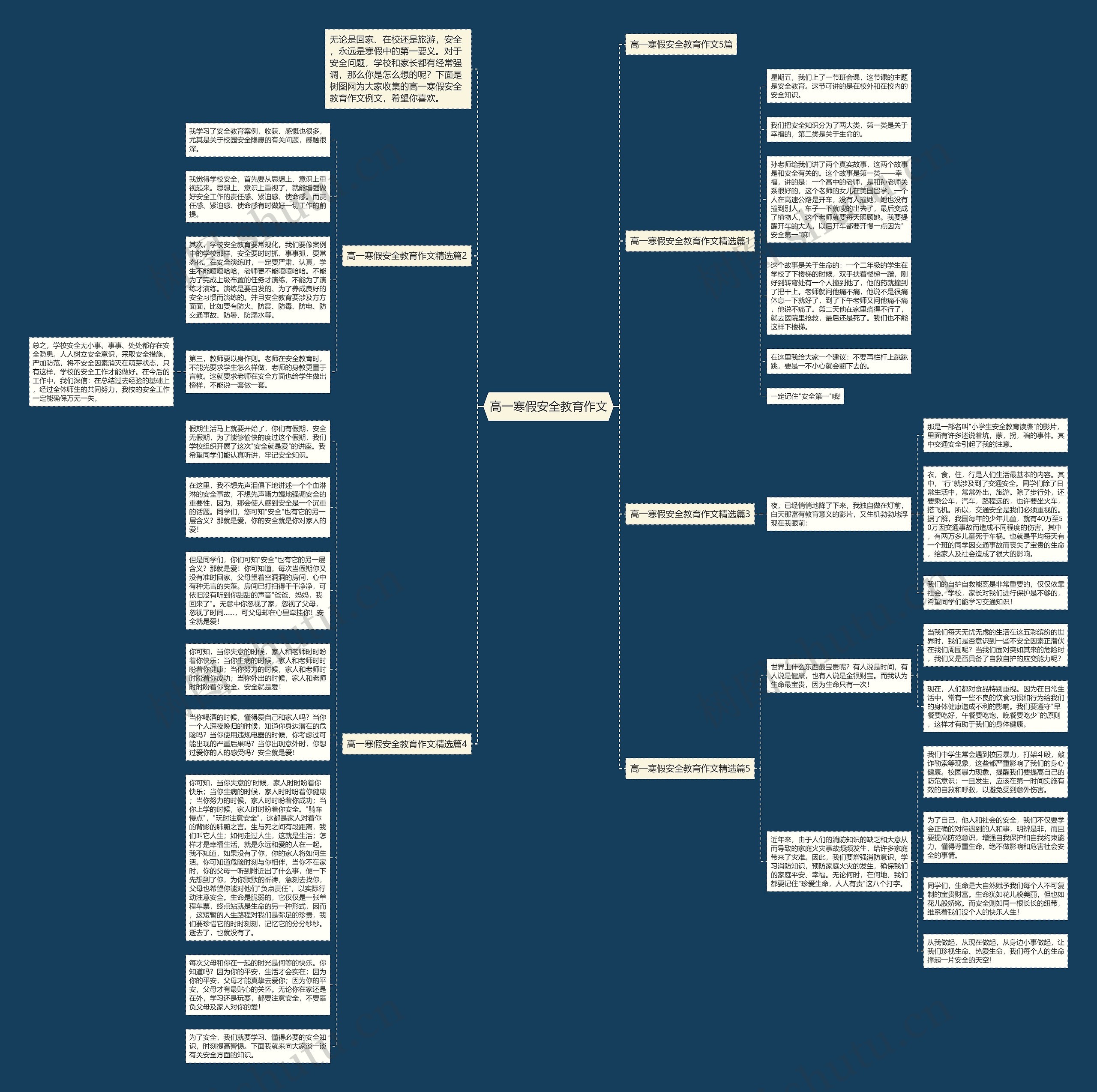 高一寒假安全教育作文思维导图