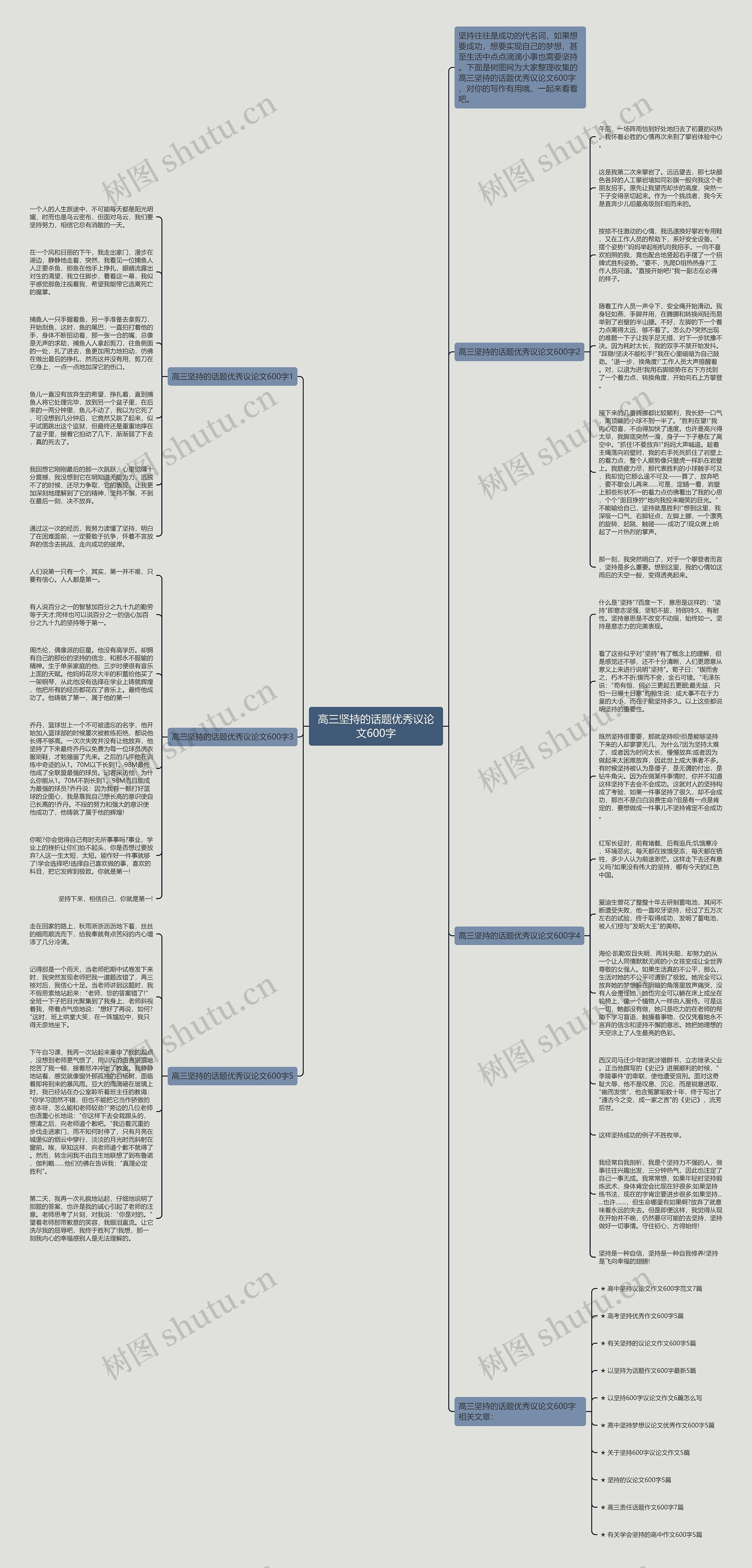 高三坚持的话题优秀议论文600字思维导图