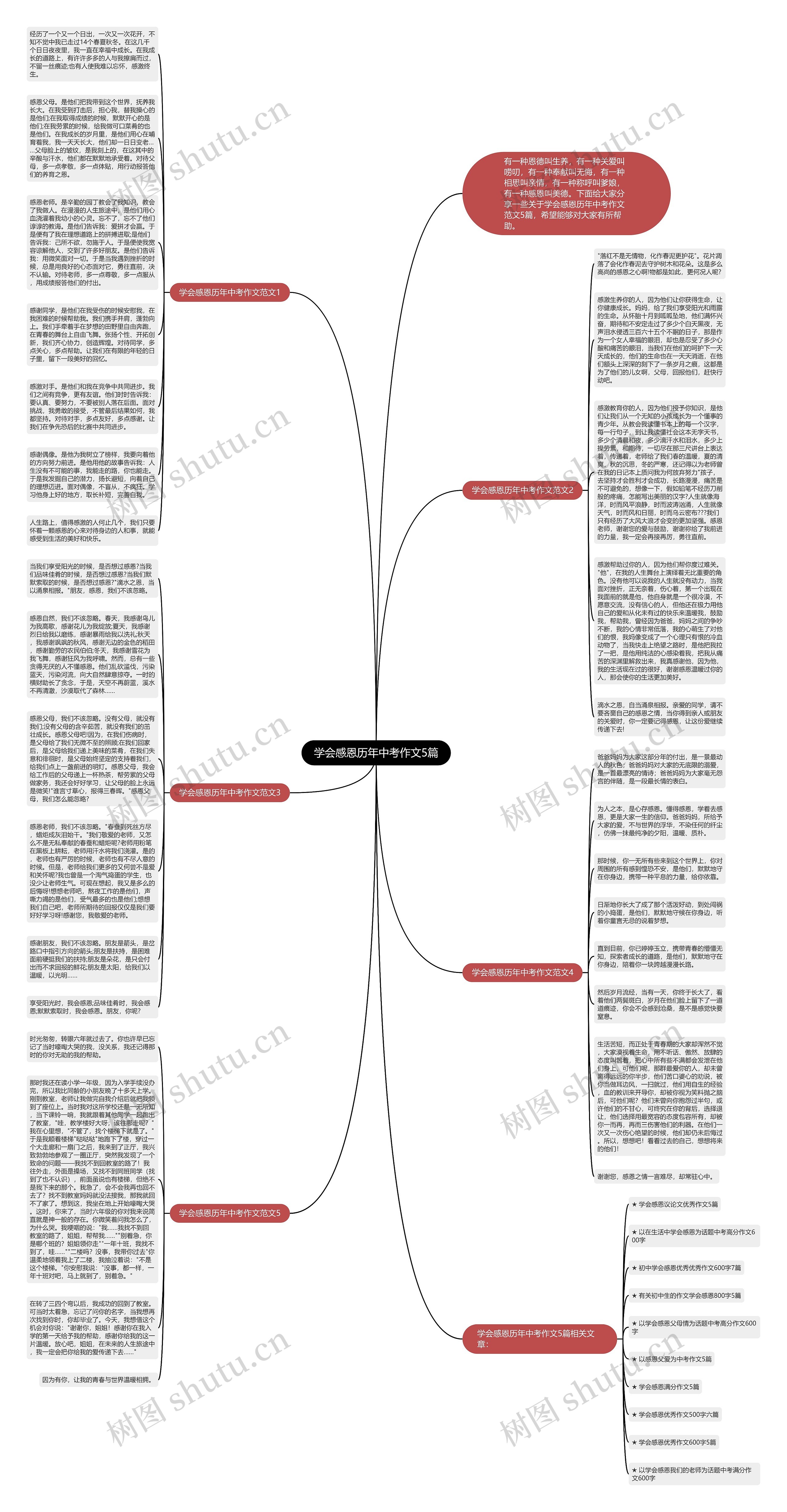 学会感恩历年中考作文5篇思维导图