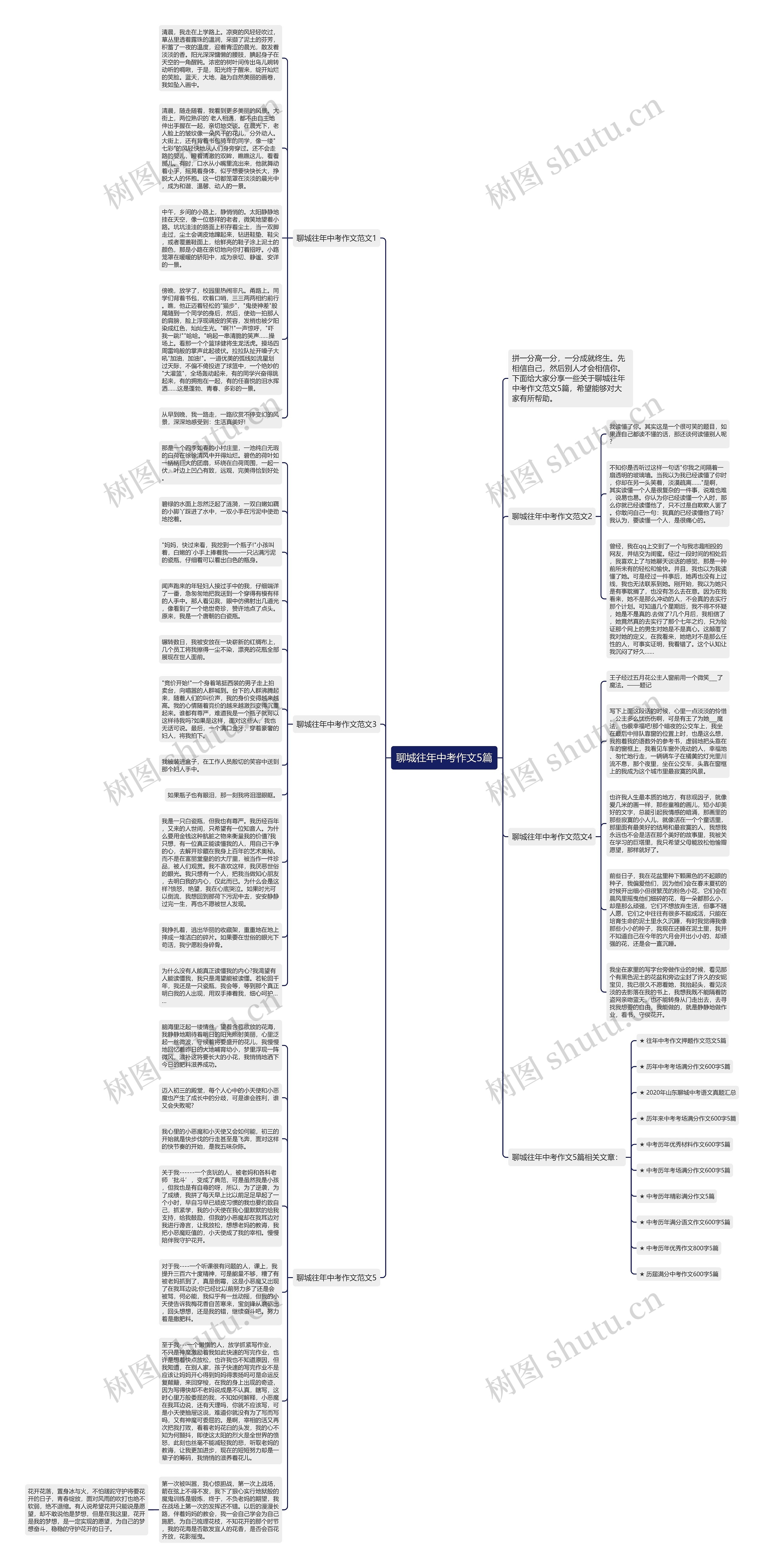 聊城往年中考作文5篇思维导图