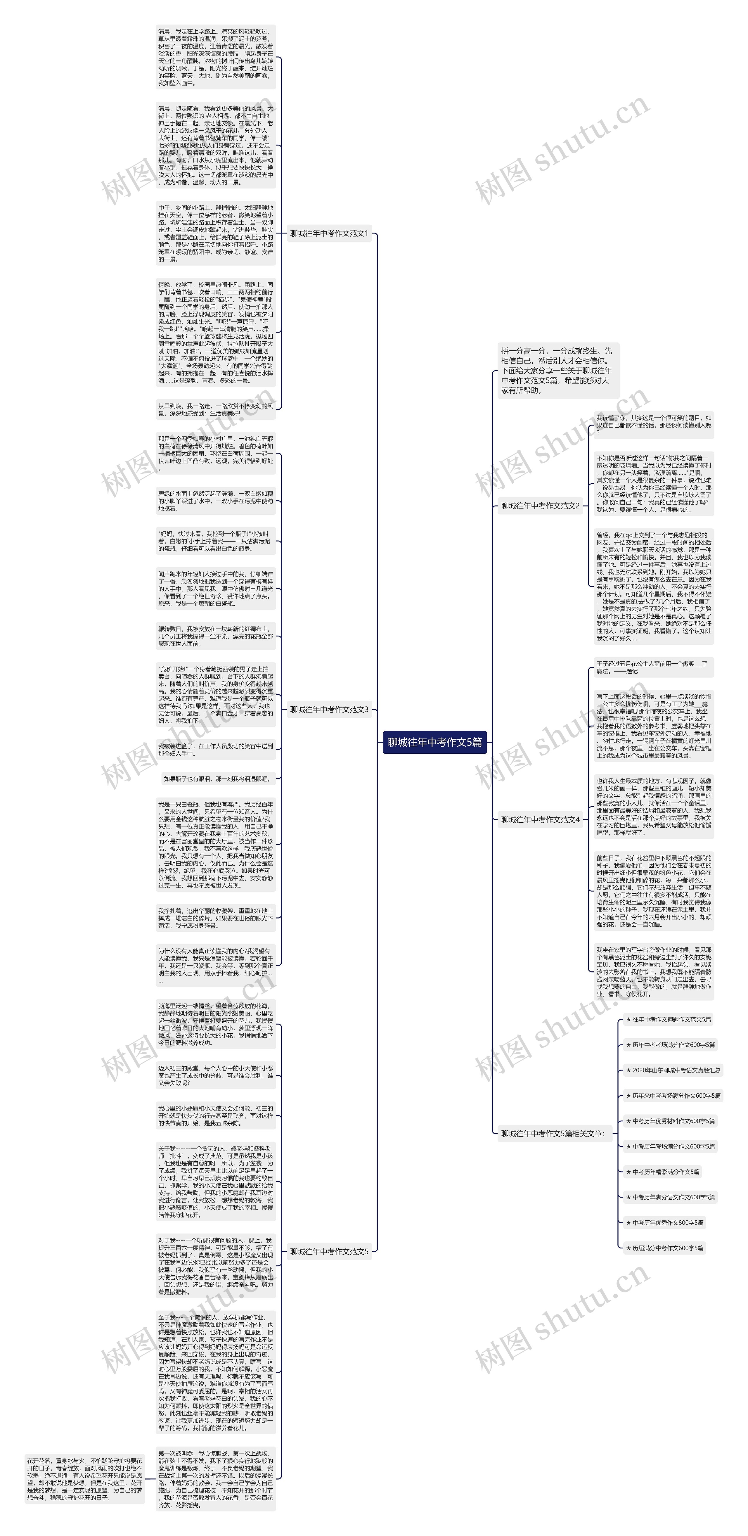 聊城往年中考作文5篇思维导图高清图 聊城往年中考作文5篇思维导图