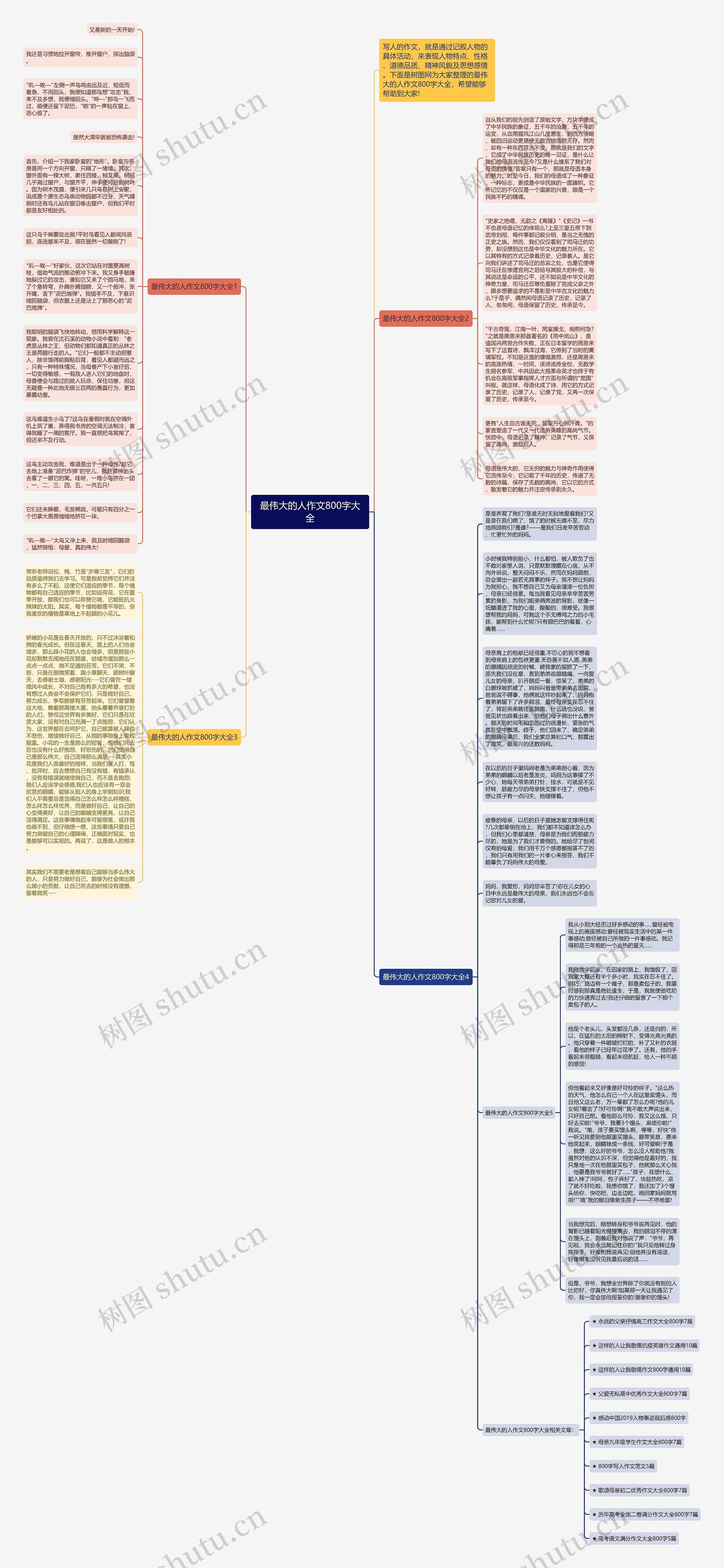 最伟大的人作文800字大全思维导图