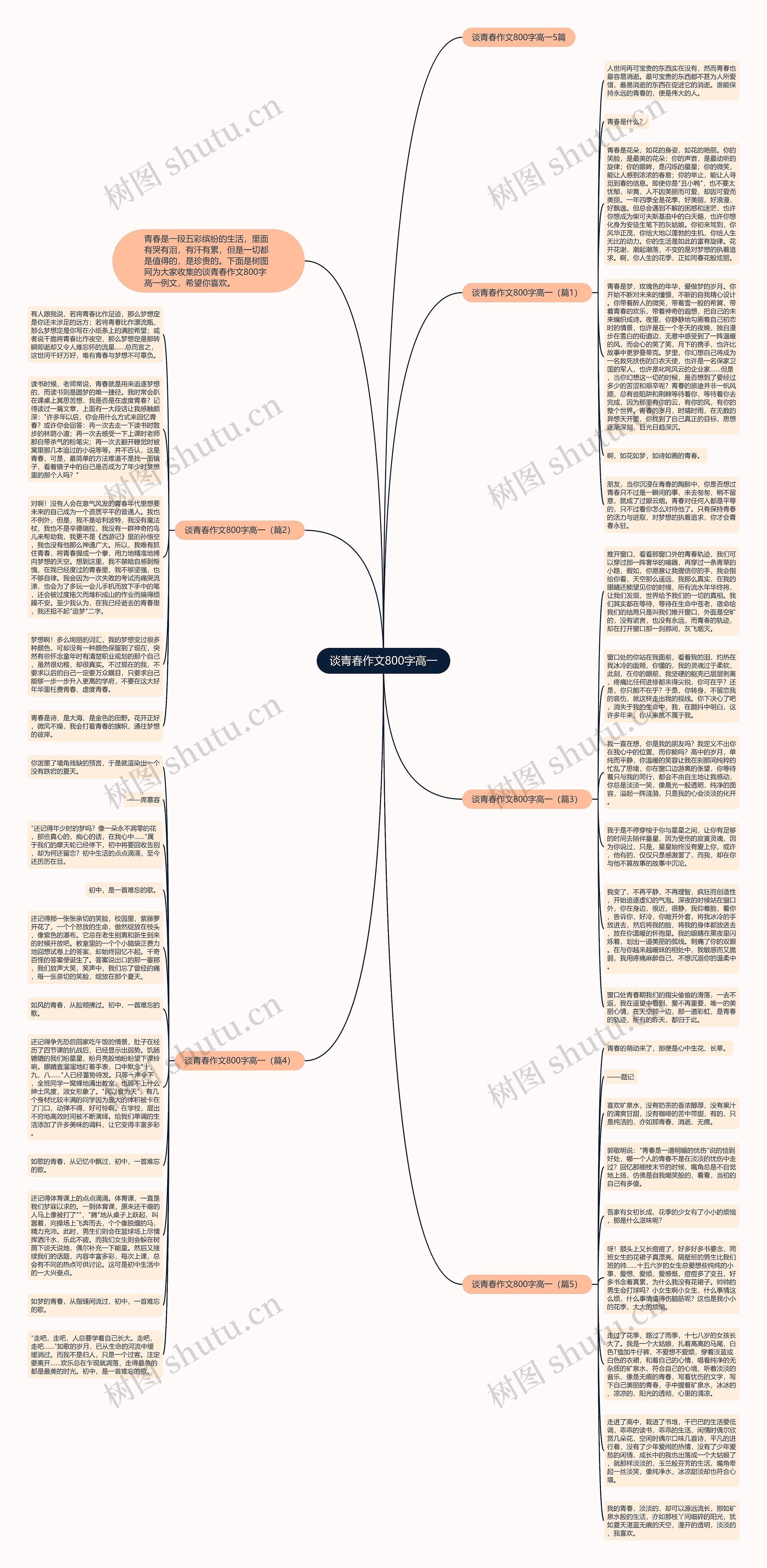 谈青春作文800字高一思维导图