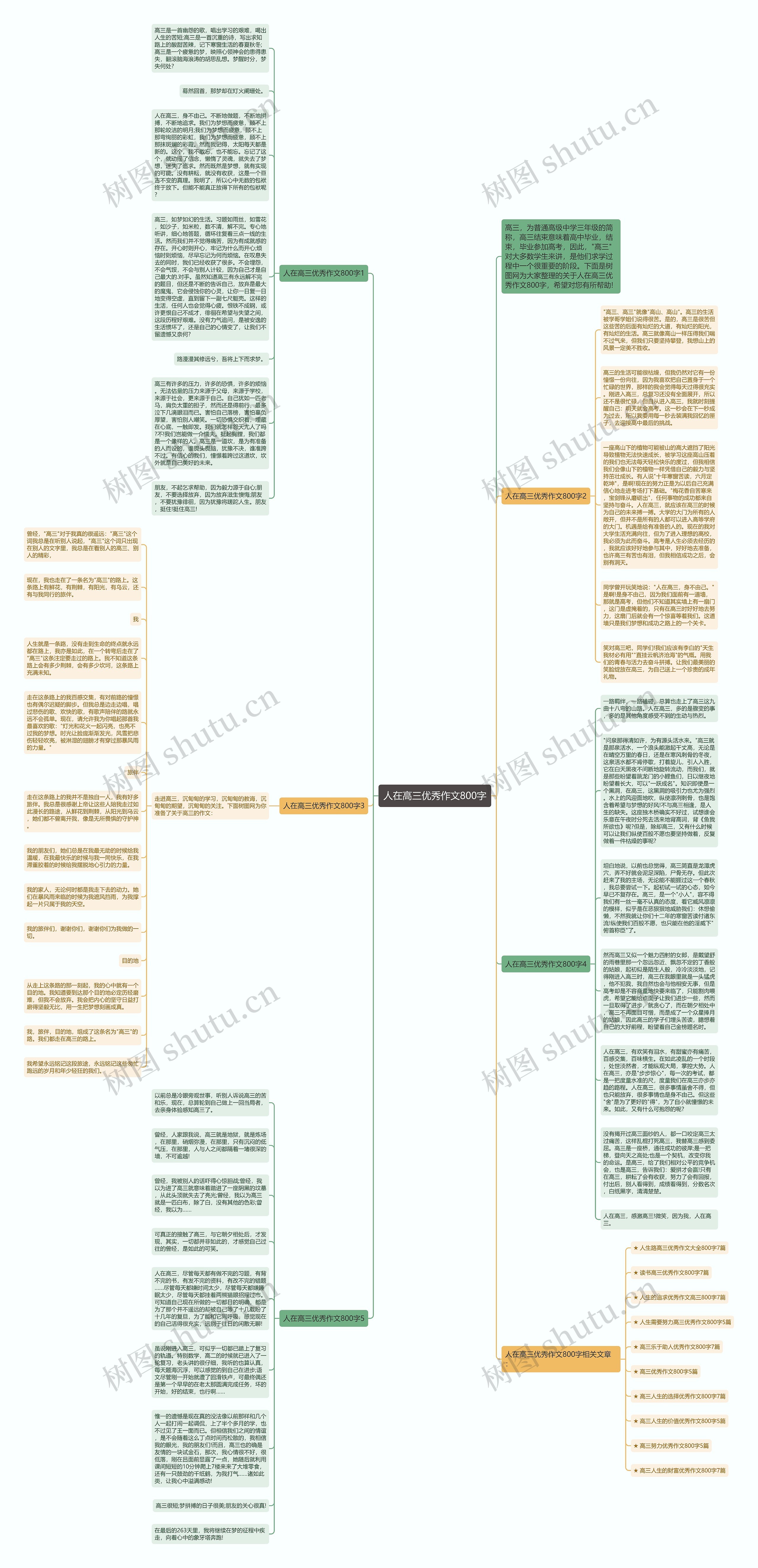 人在高三优秀作文800字思维导图