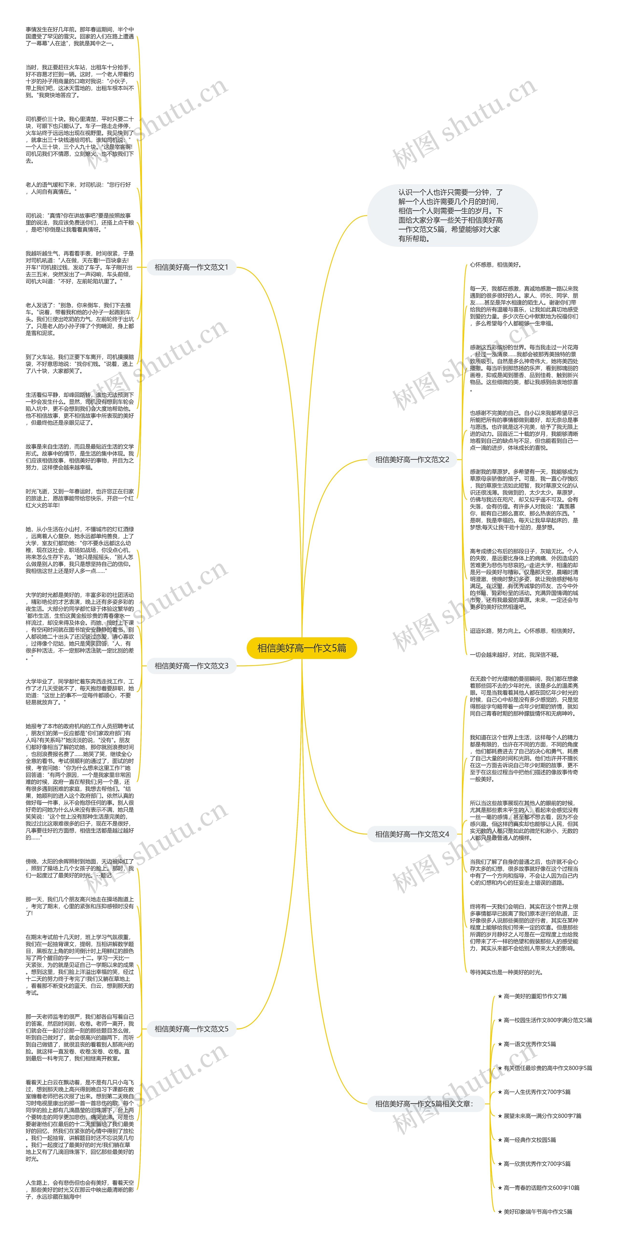 相信美好高一作文5篇思维导图
