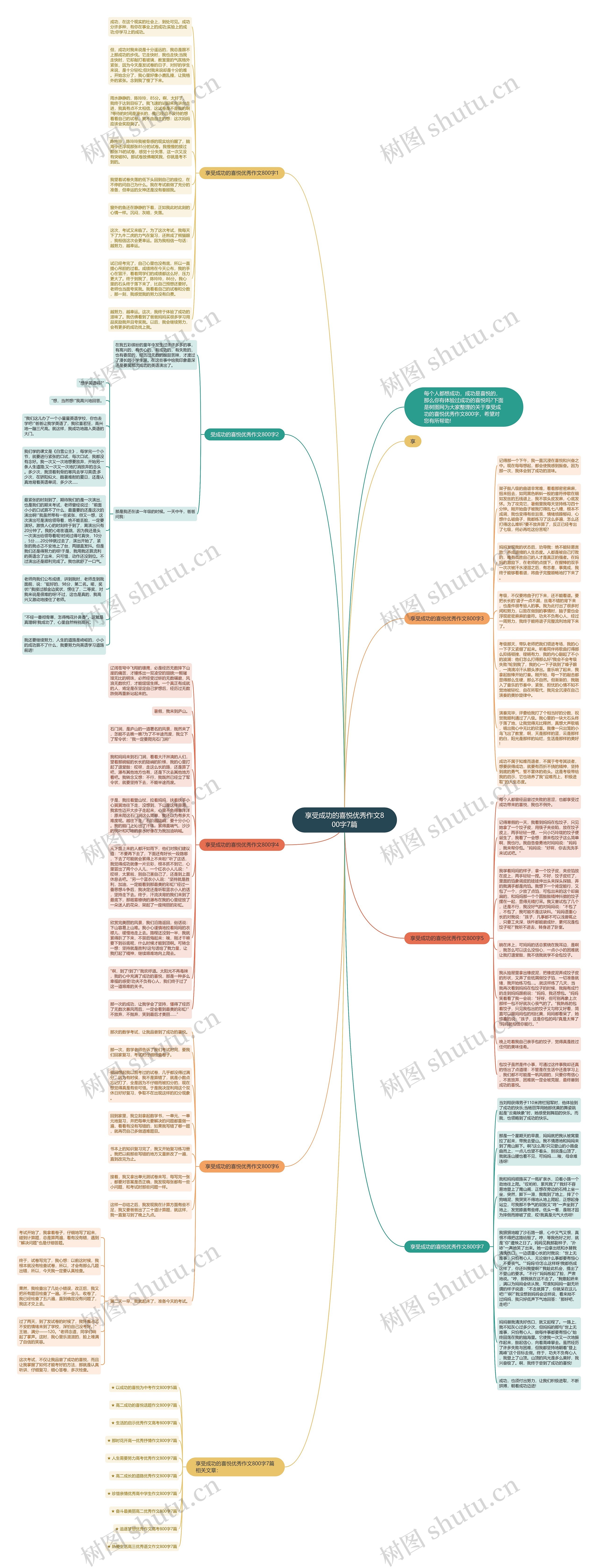 享受成功的喜悦优秀作文800字7篇思维导图