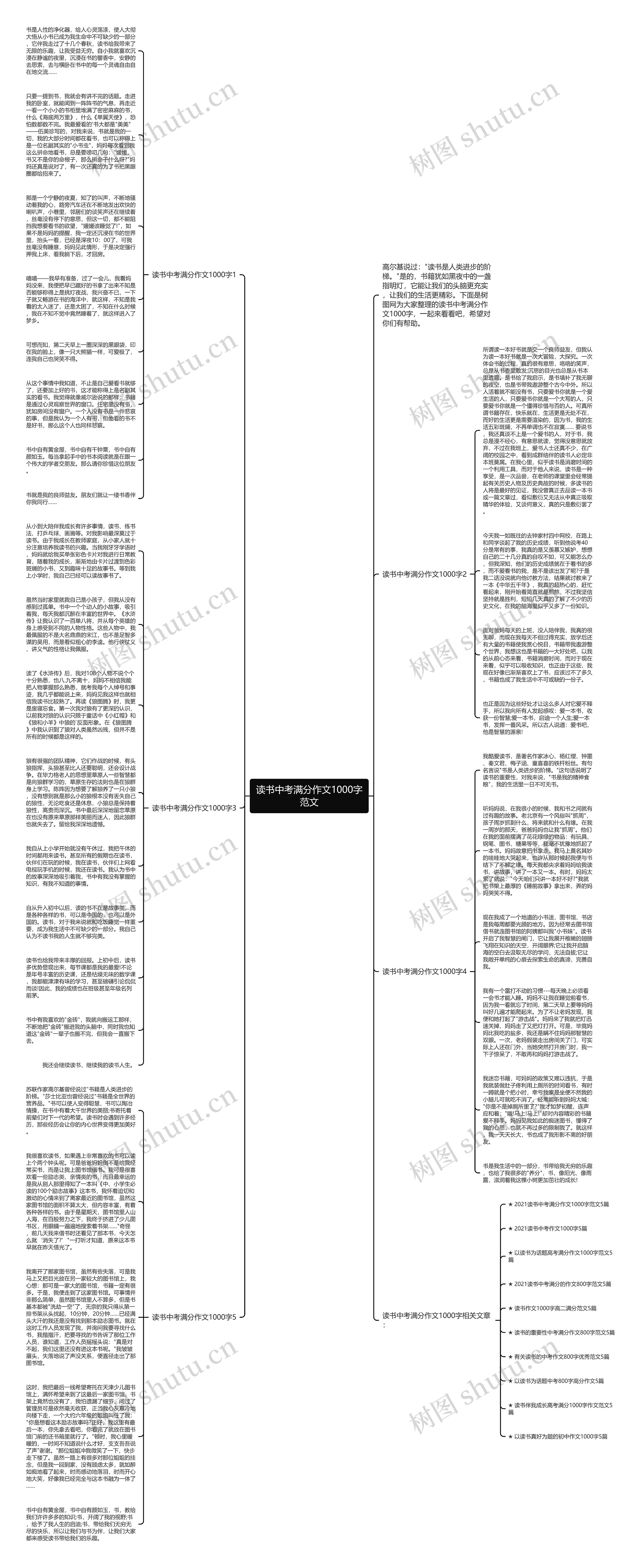读书中考满分作文1000字范文思维导图