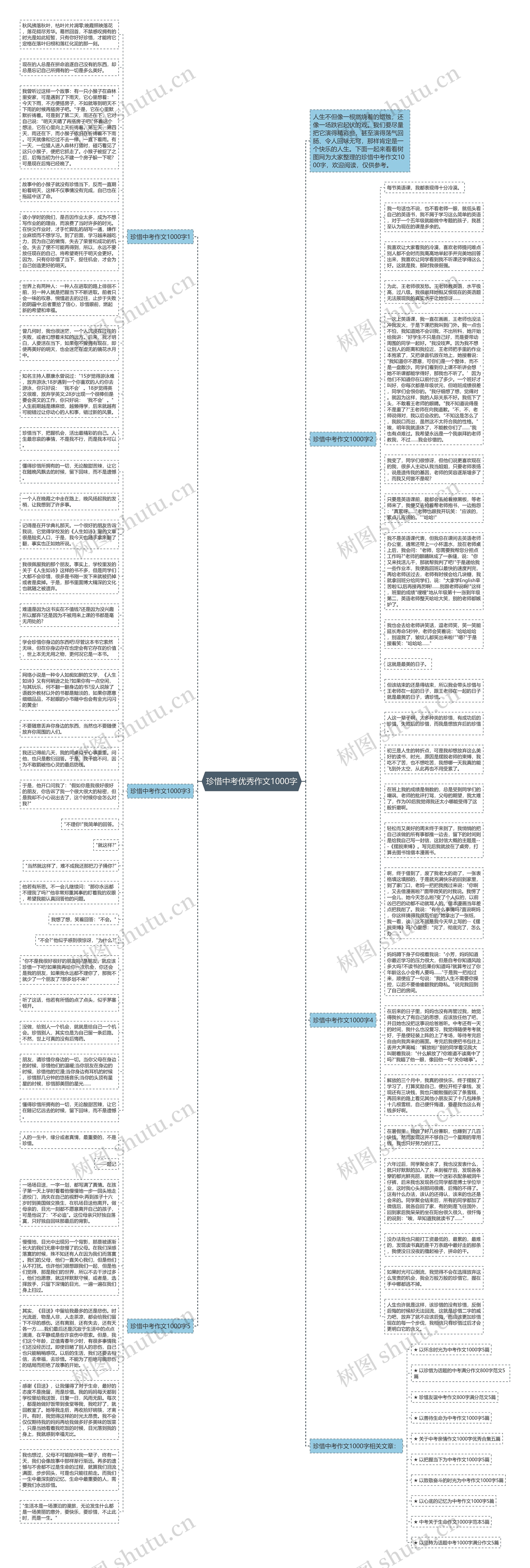 珍惜中考优秀作文1000字思维导图