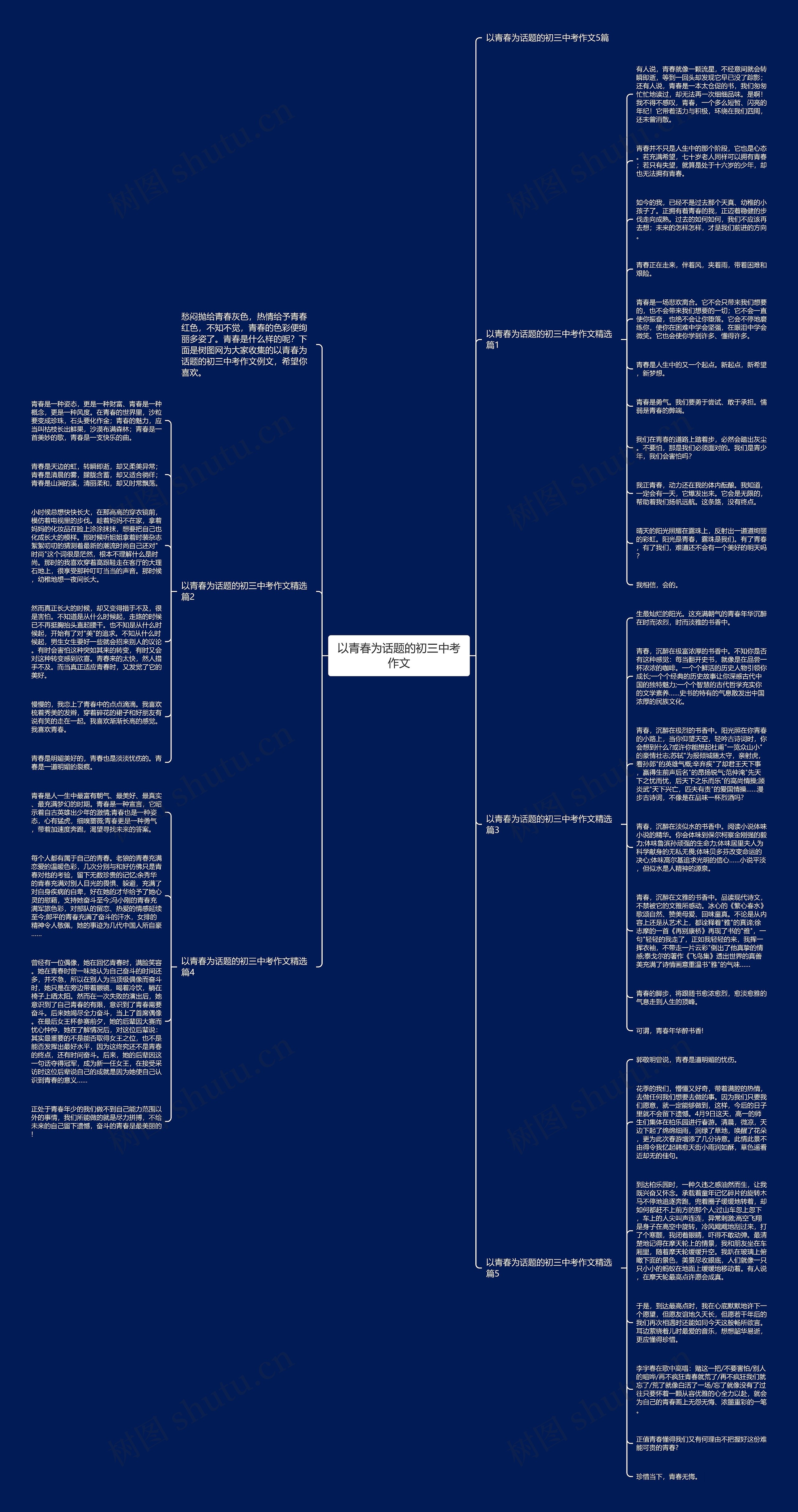 以青春为话题的初三中考作文思维导图