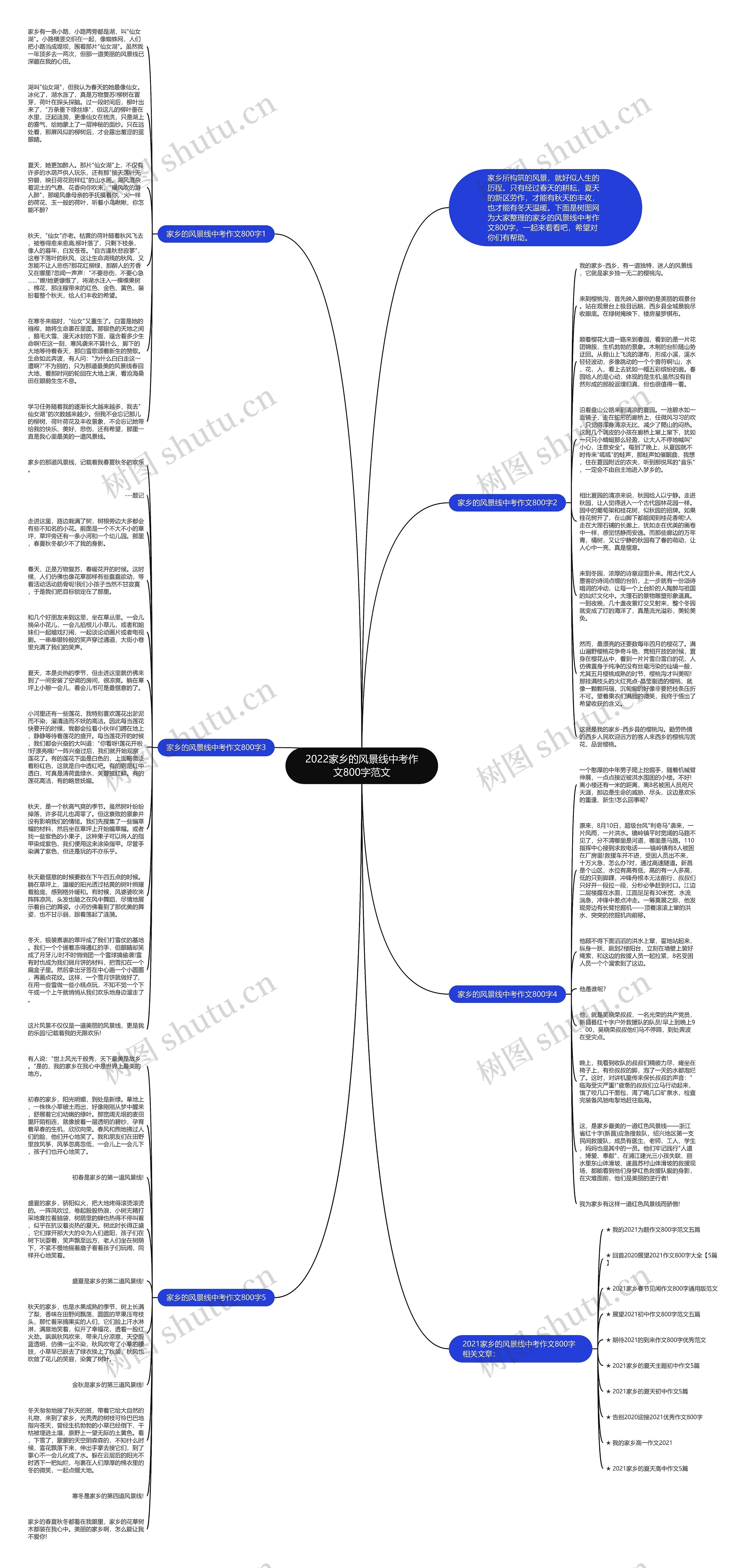 2022家乡的风景线中考作文800字范文思维导图
