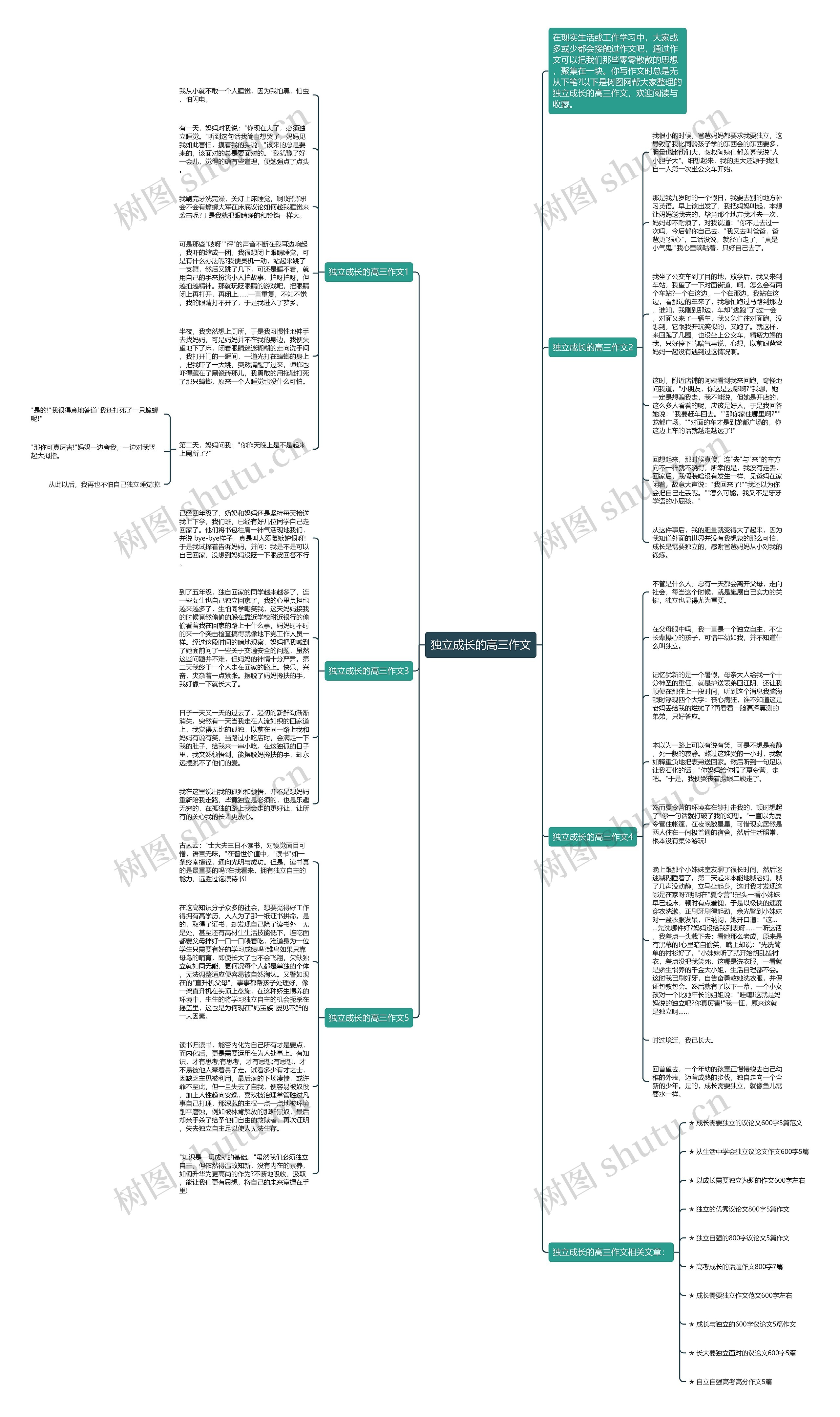 独立成长的高三作文思维导图