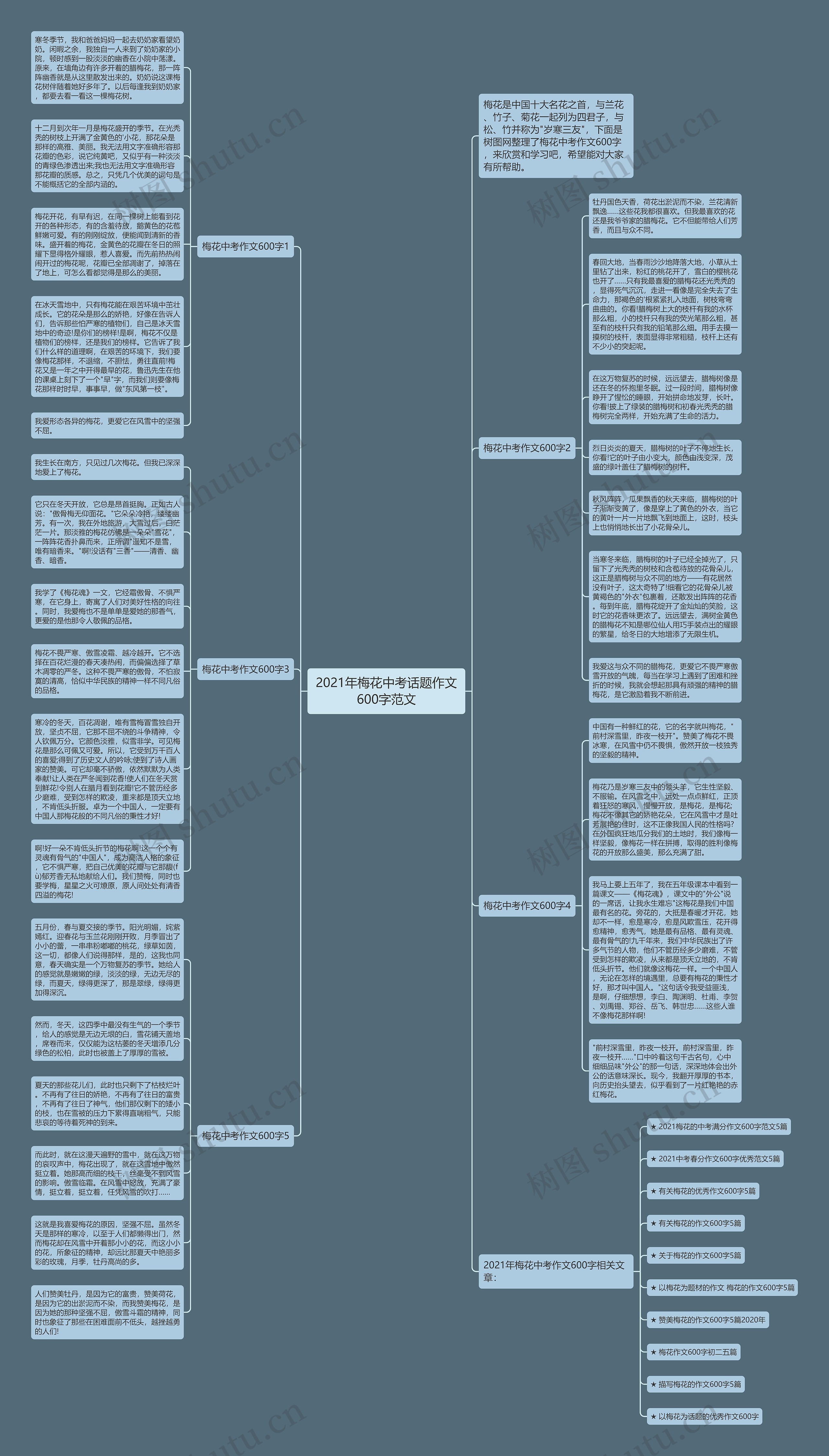 2021年梅花中考话题作文600字范文思维导图