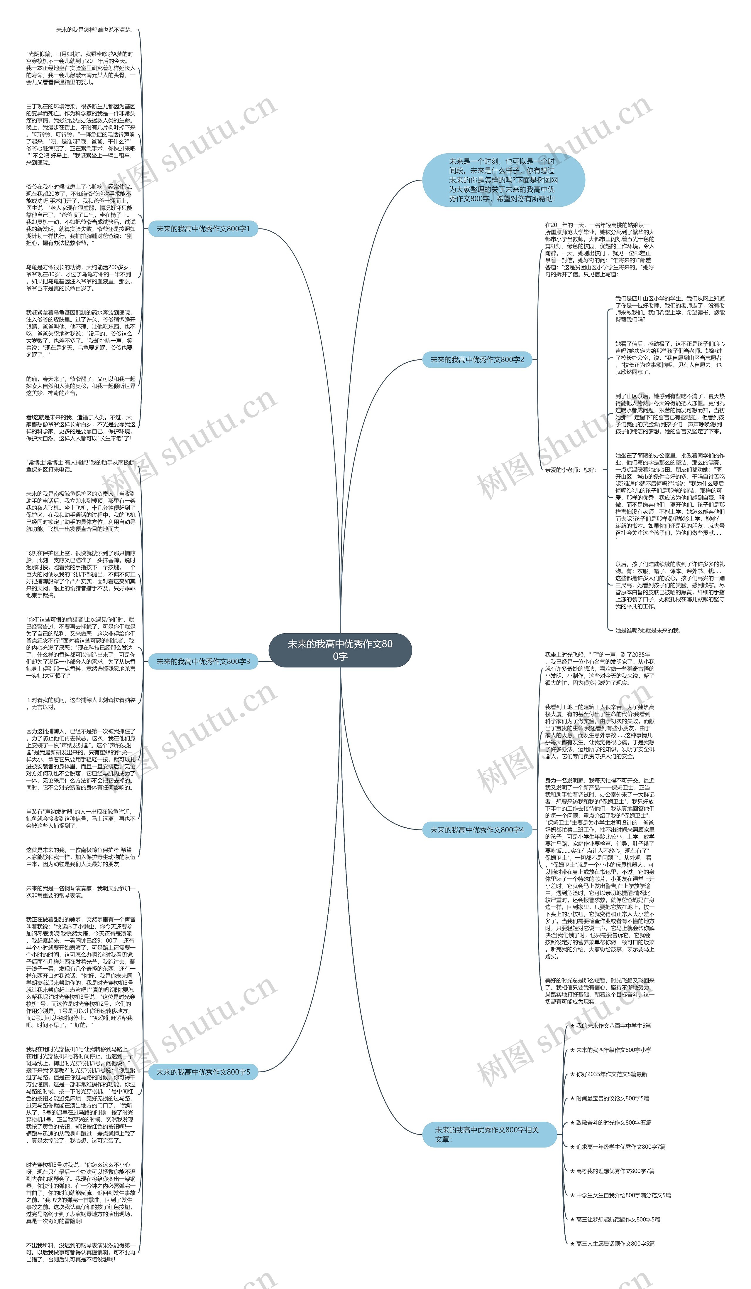 未来的我高中优秀作文800字思维导图