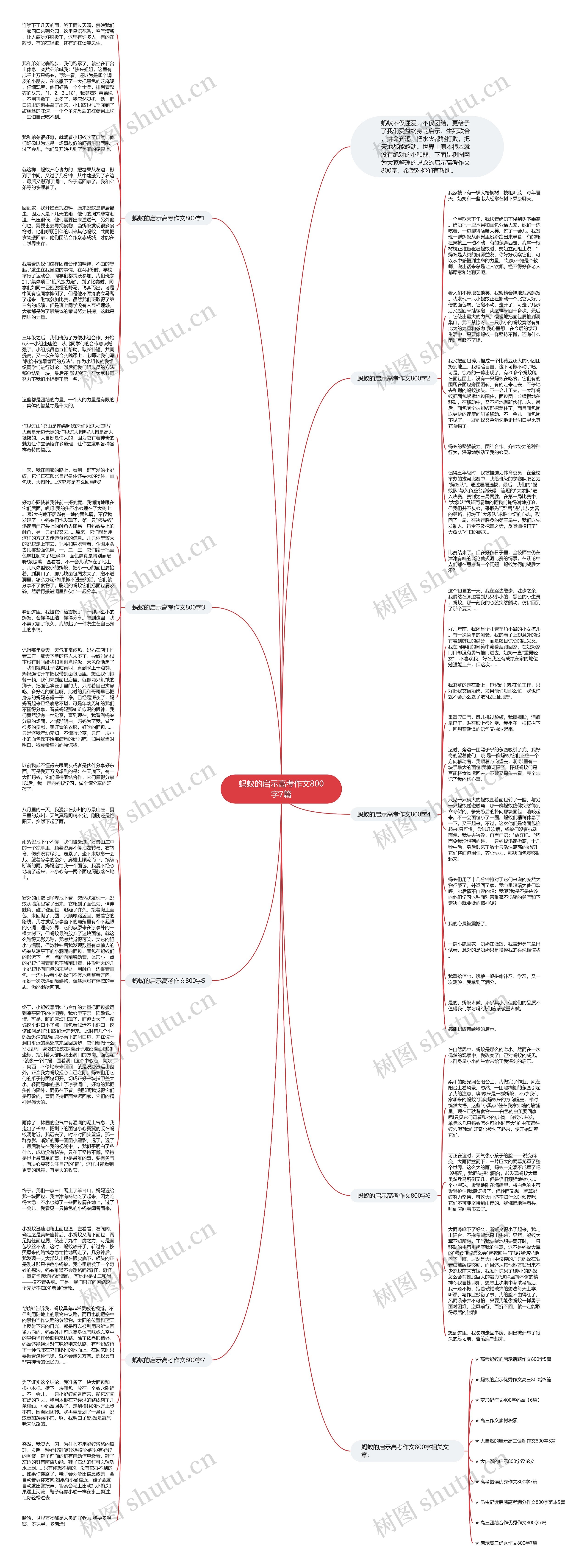蚂蚁的启示高考作文800字7篇思维导图