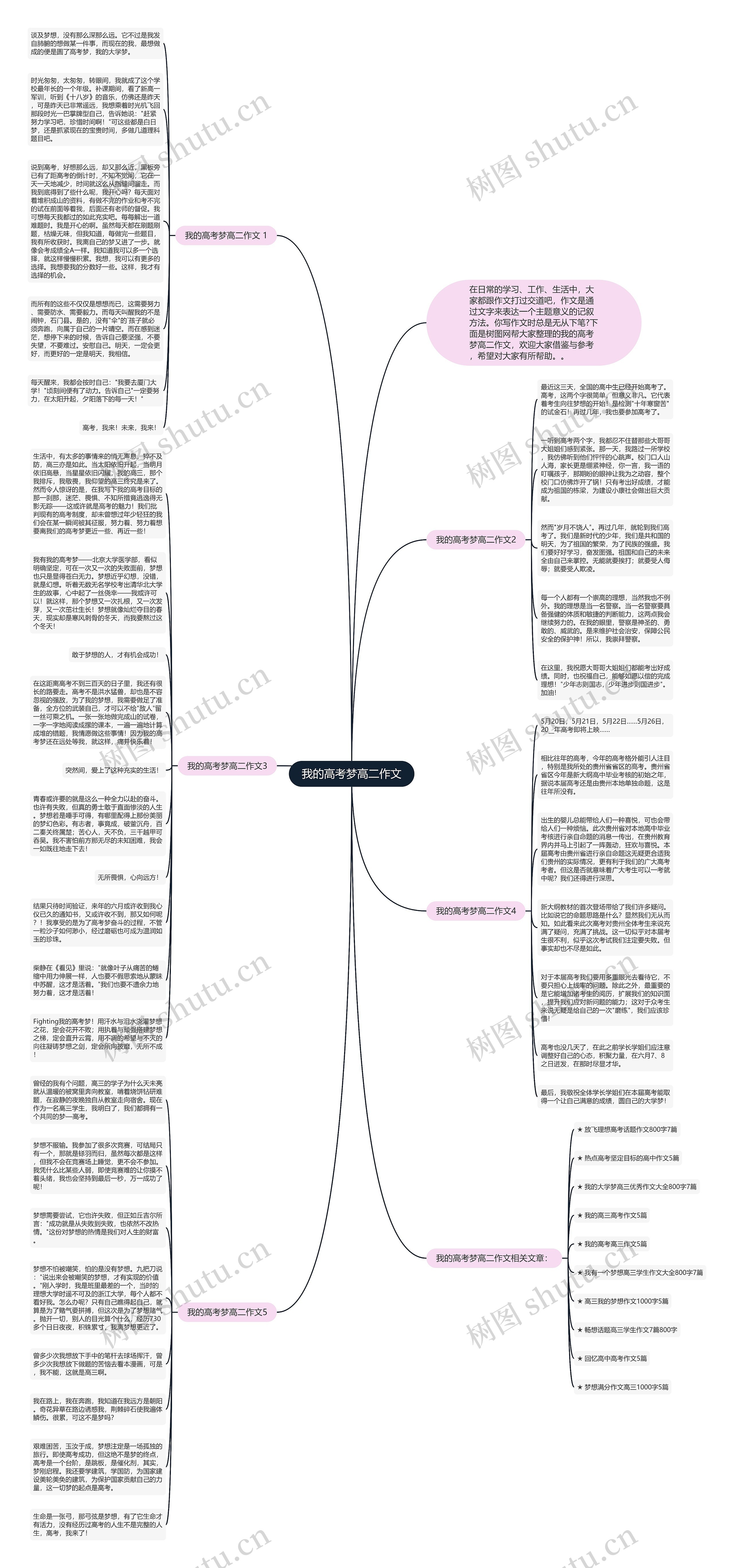 我的高考梦高二作文思维导图