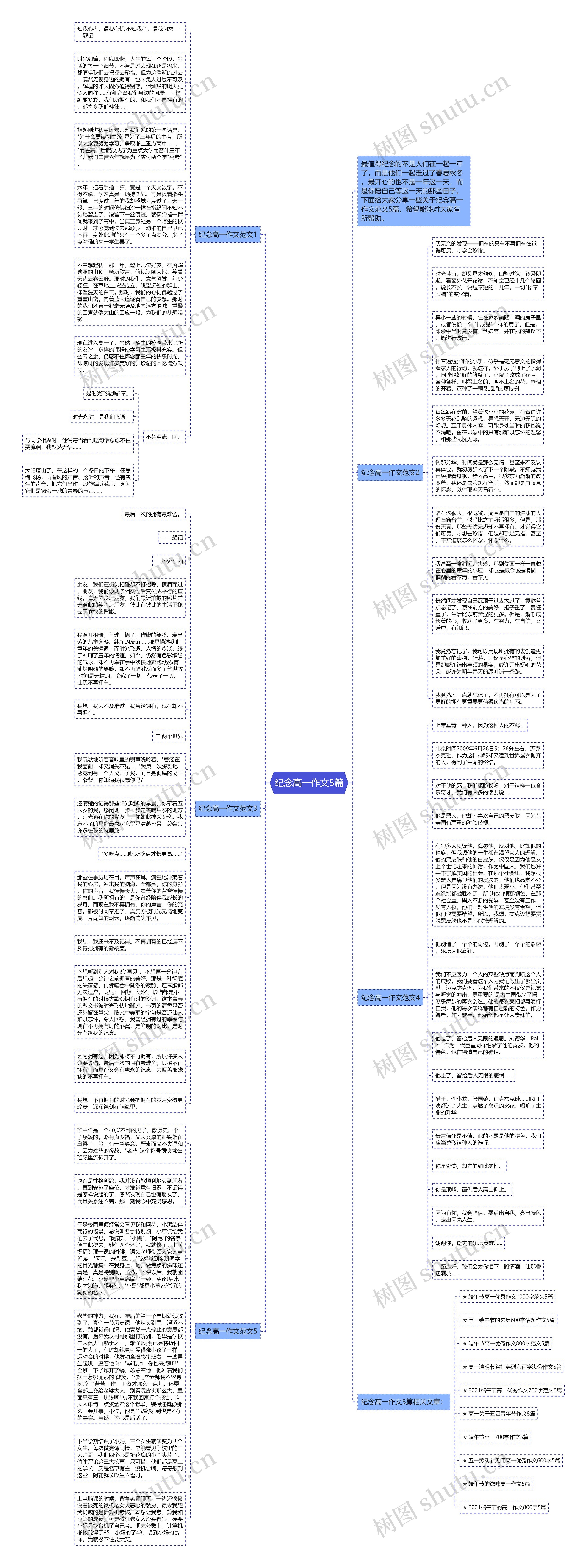 纪念高一作文5篇思维导图