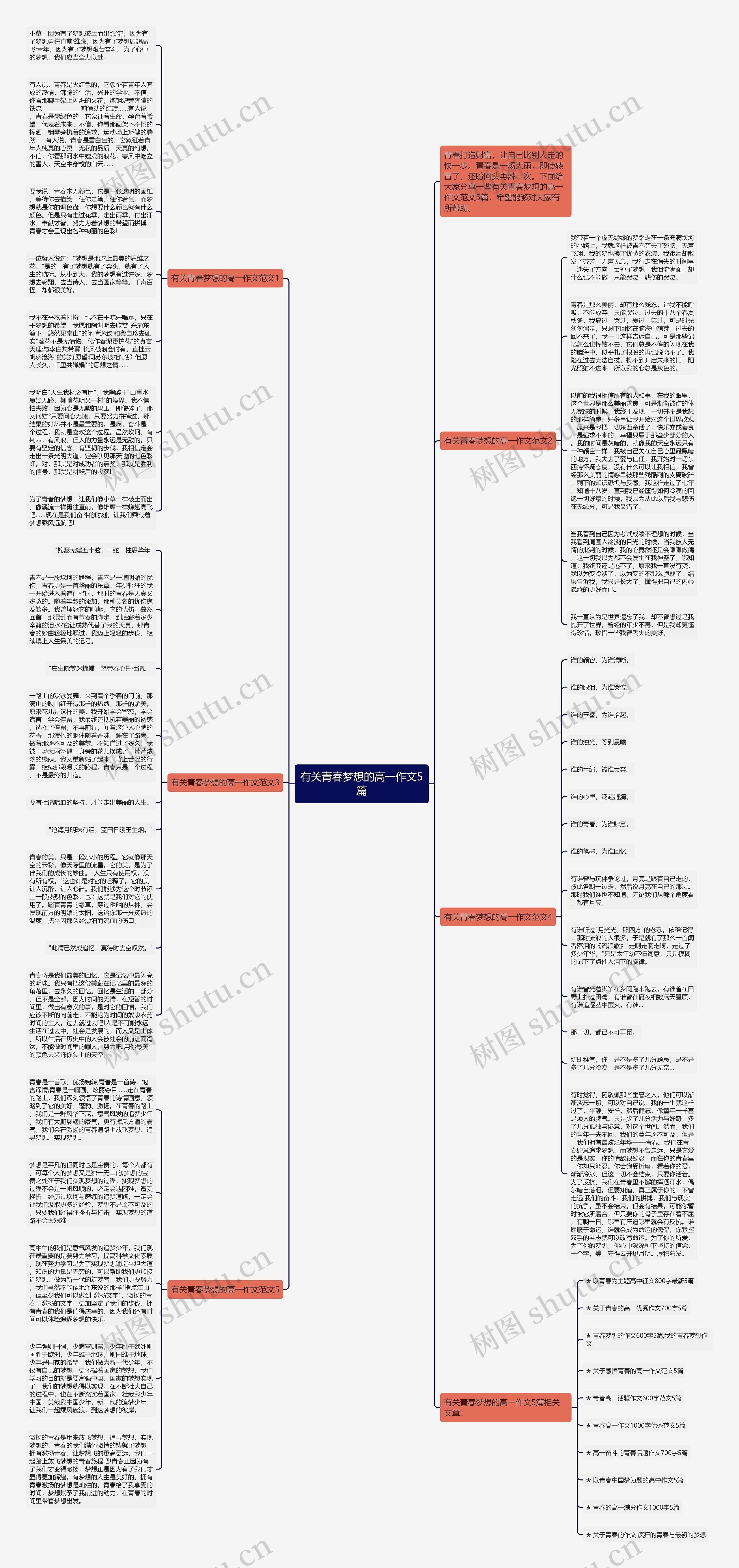 有关青春梦想的高一作文5篇思维导图