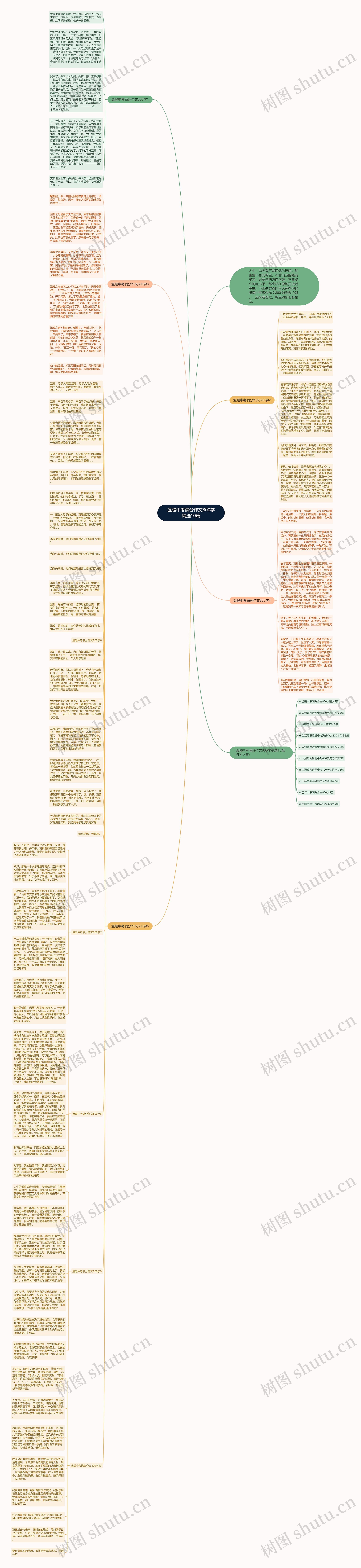 温暖中考满分作文800字精选10篇思维导图