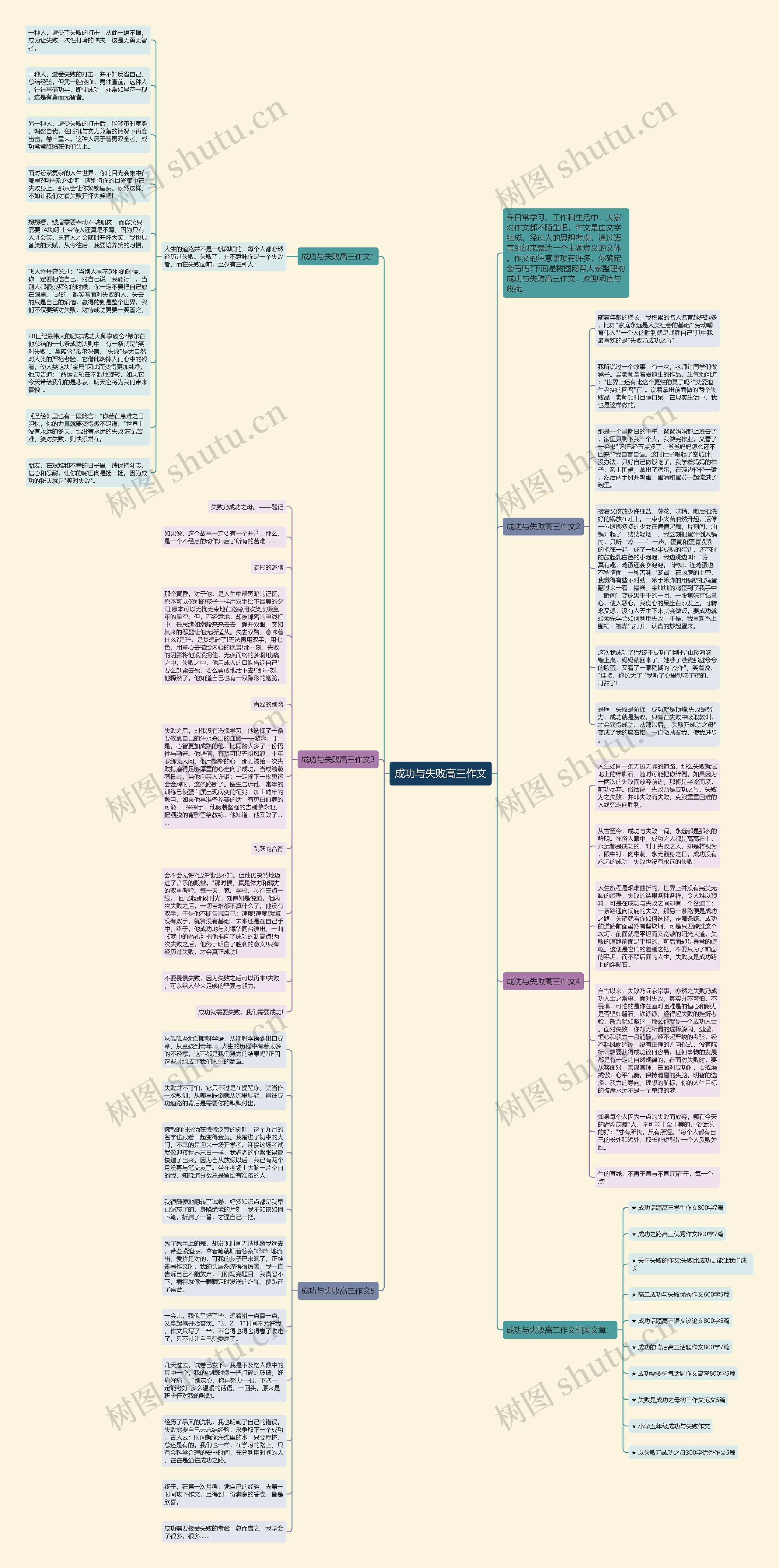 成功与失败高三作文思维导图