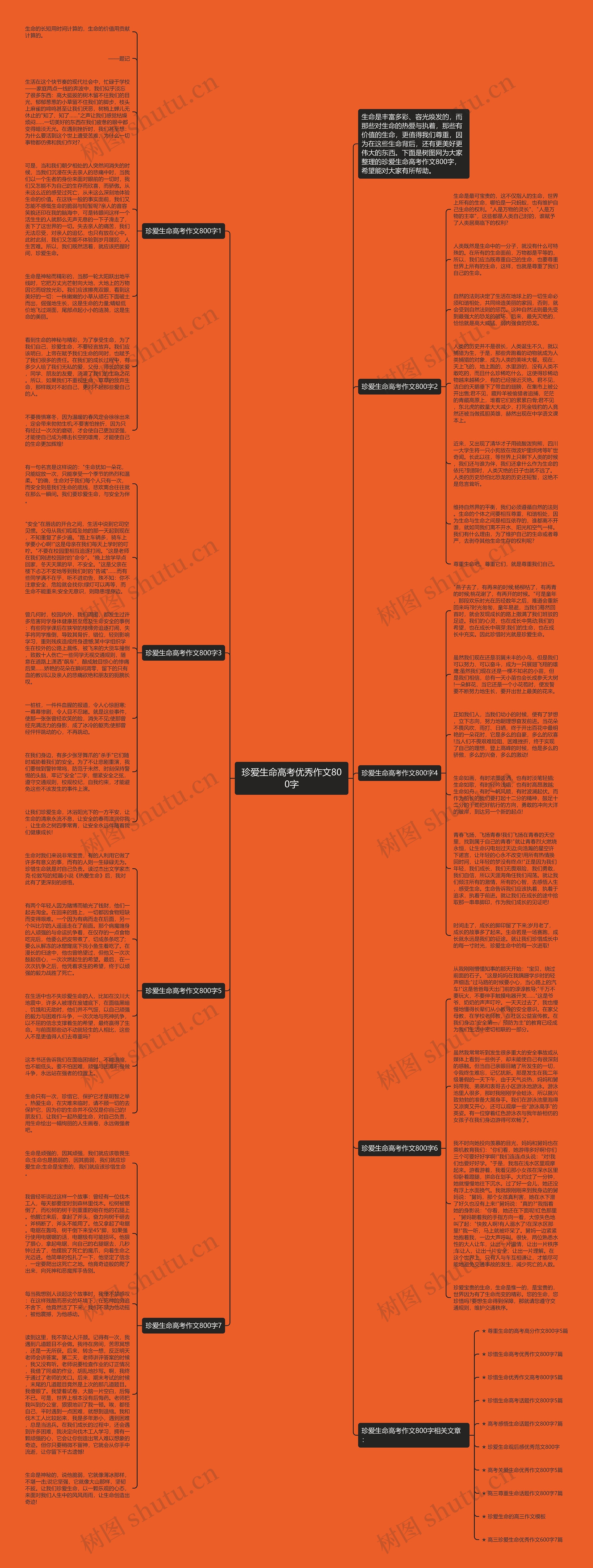 珍爱生命高考优秀作文800字思维导图