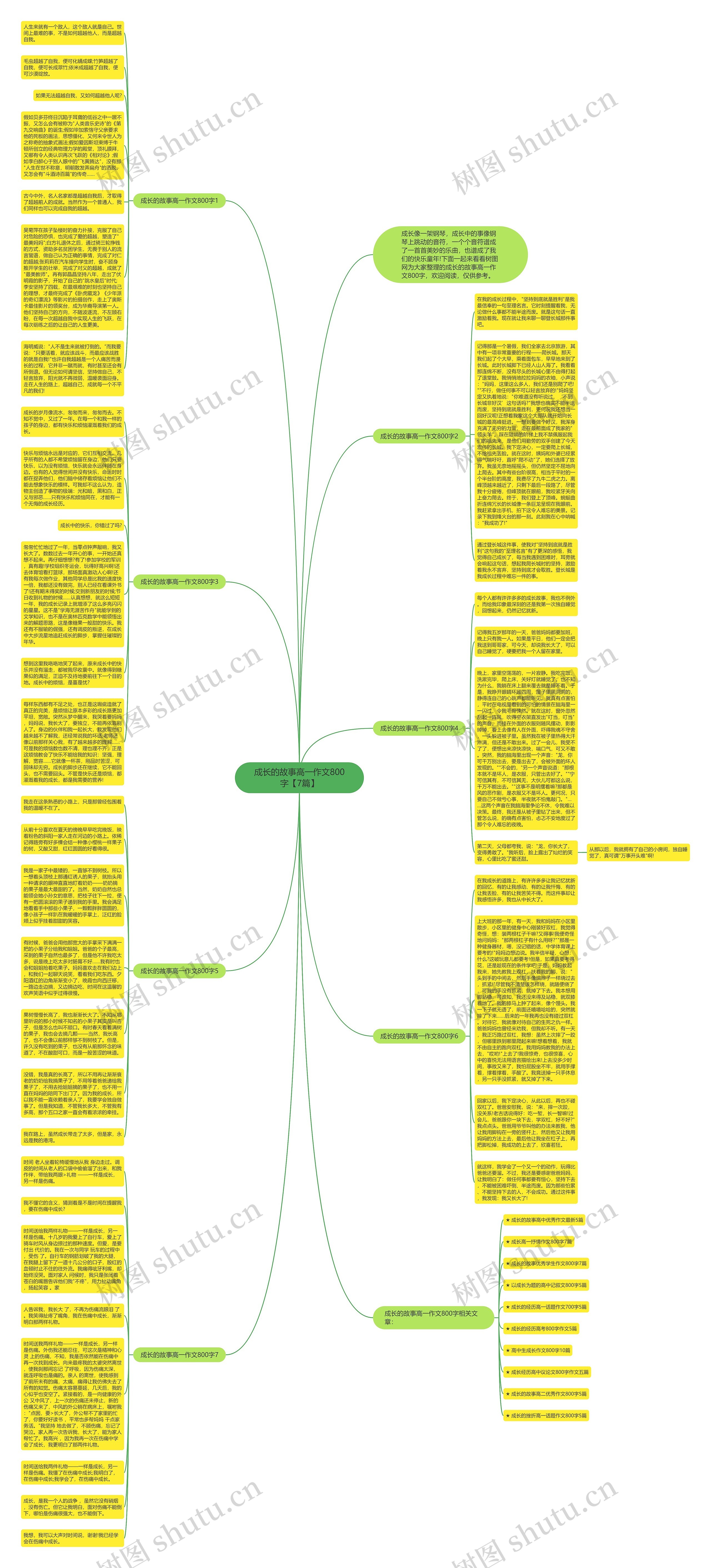 成长的故事高一作文800字【7篇】思维导图