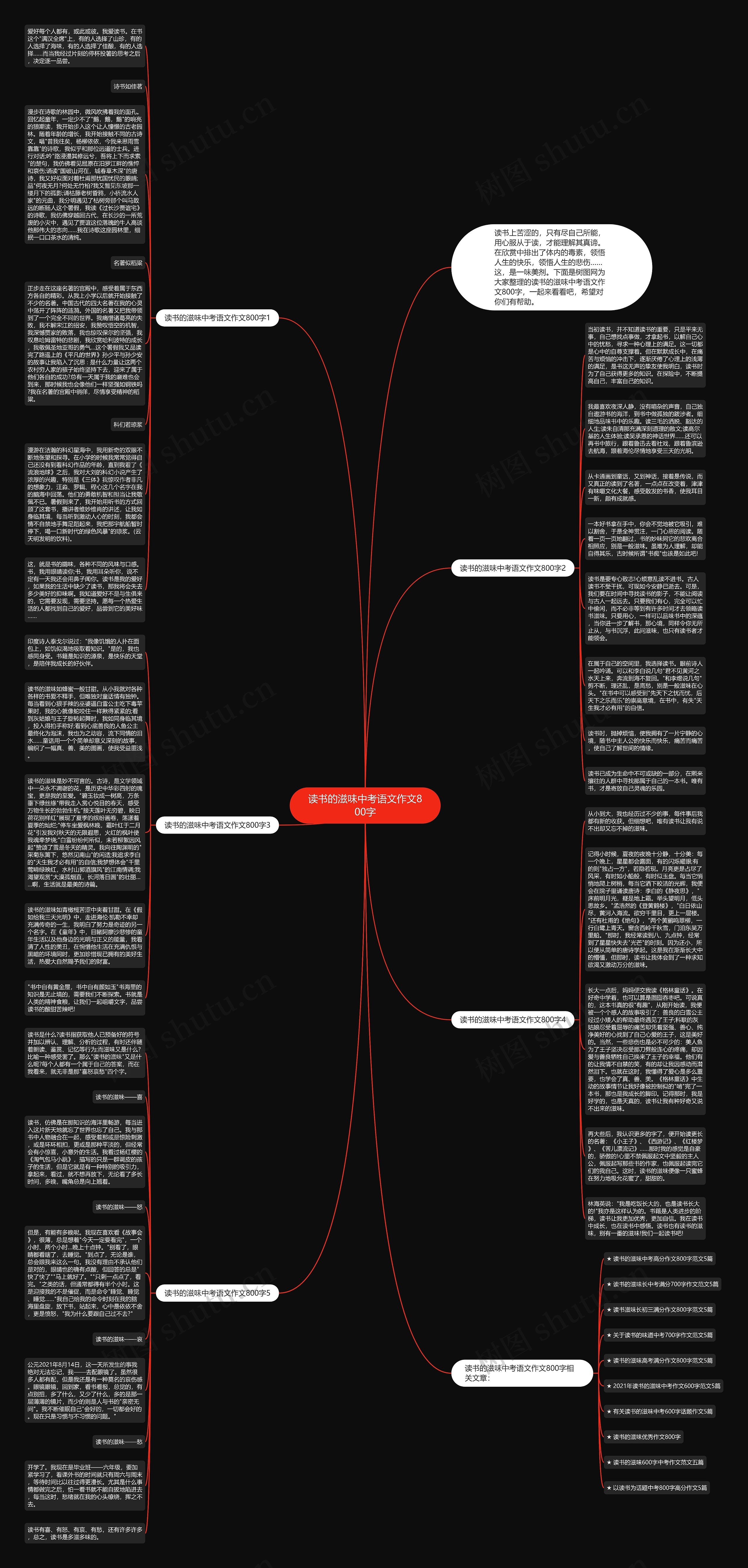 读书的滋味中考语文作文800字思维导图