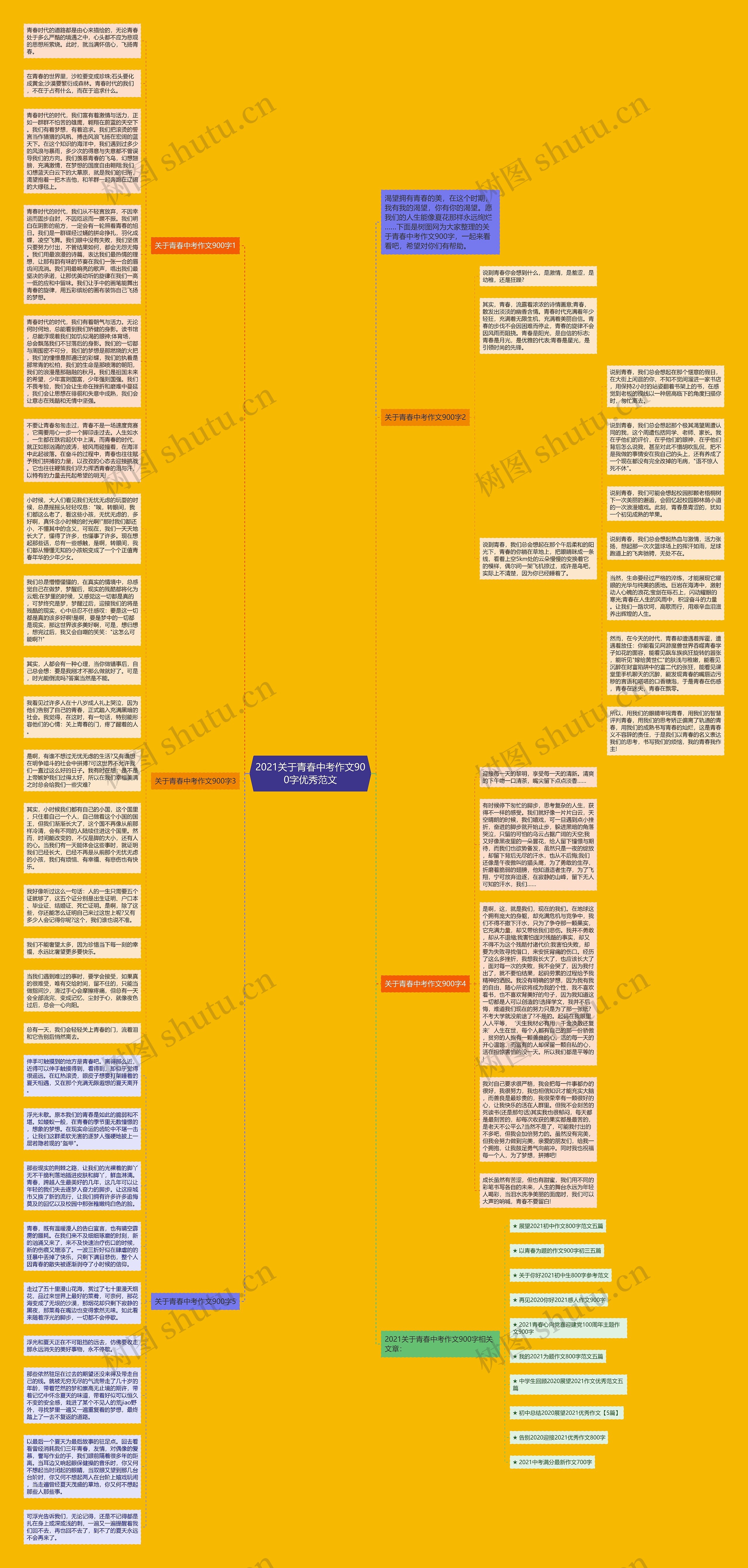 2021关于青春中考作文900字优秀范文思维导图