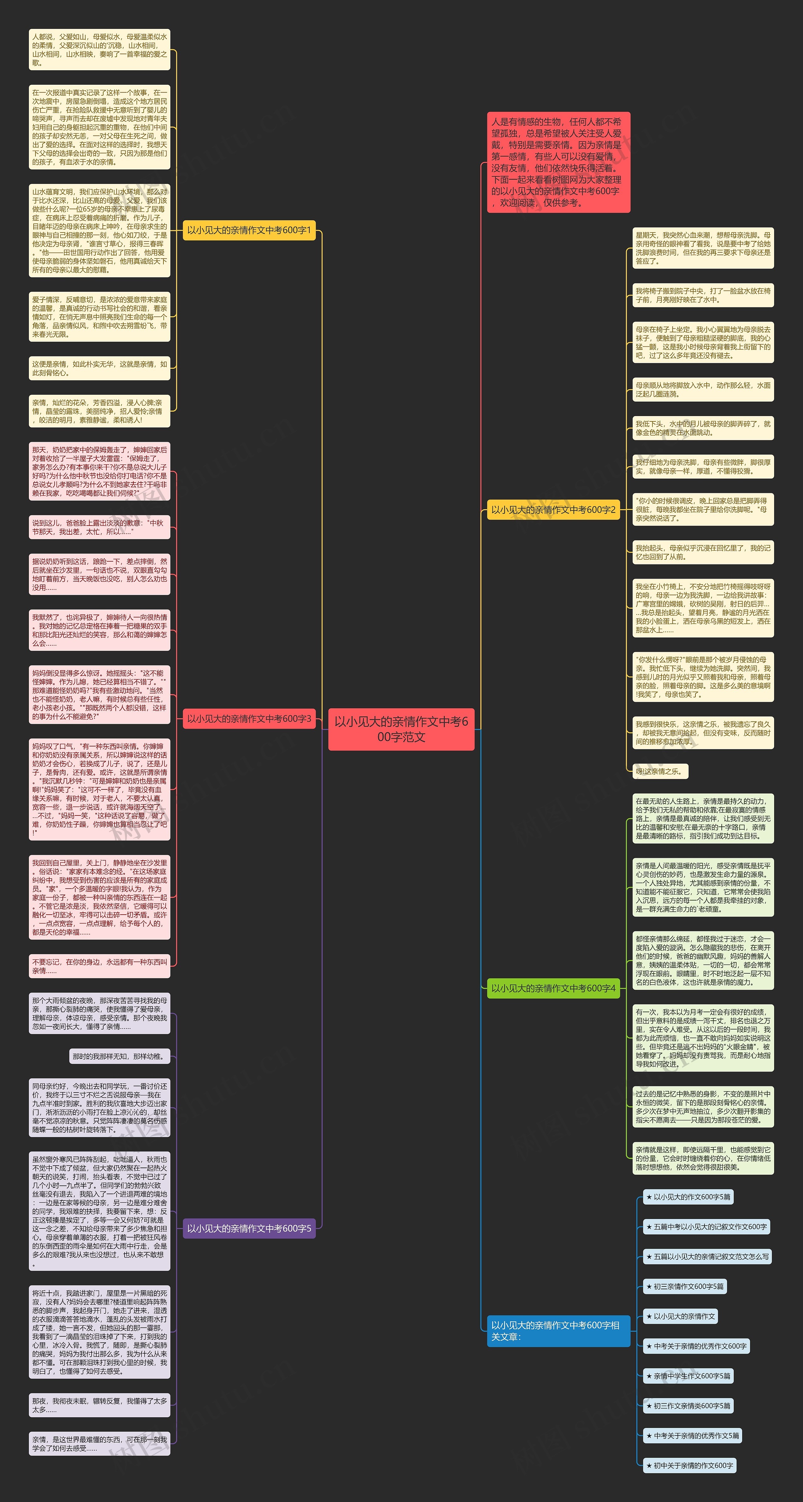 以小见大的亲情作文中考600字范文思维导图