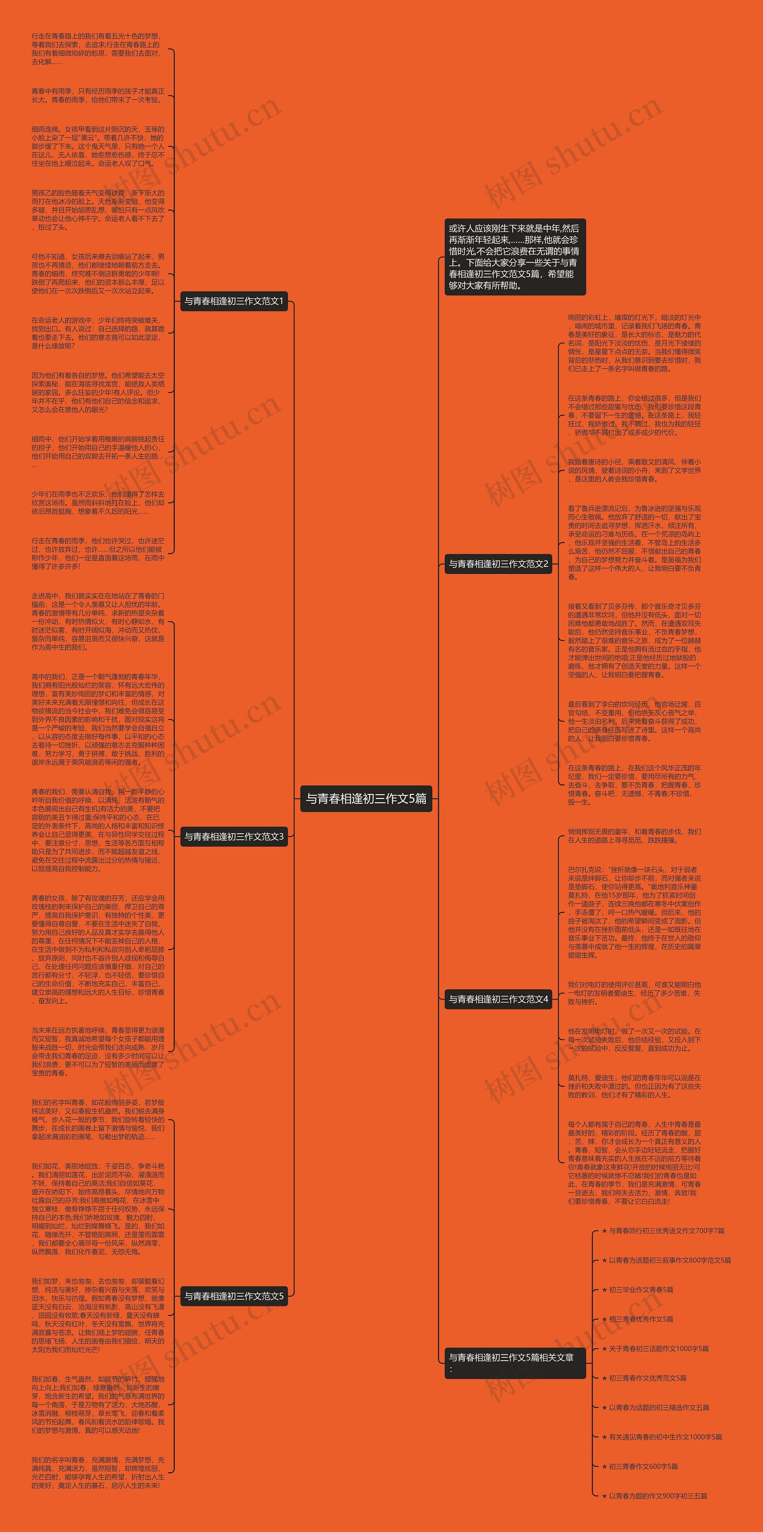 与青春相逢初三作文5篇思维导图
