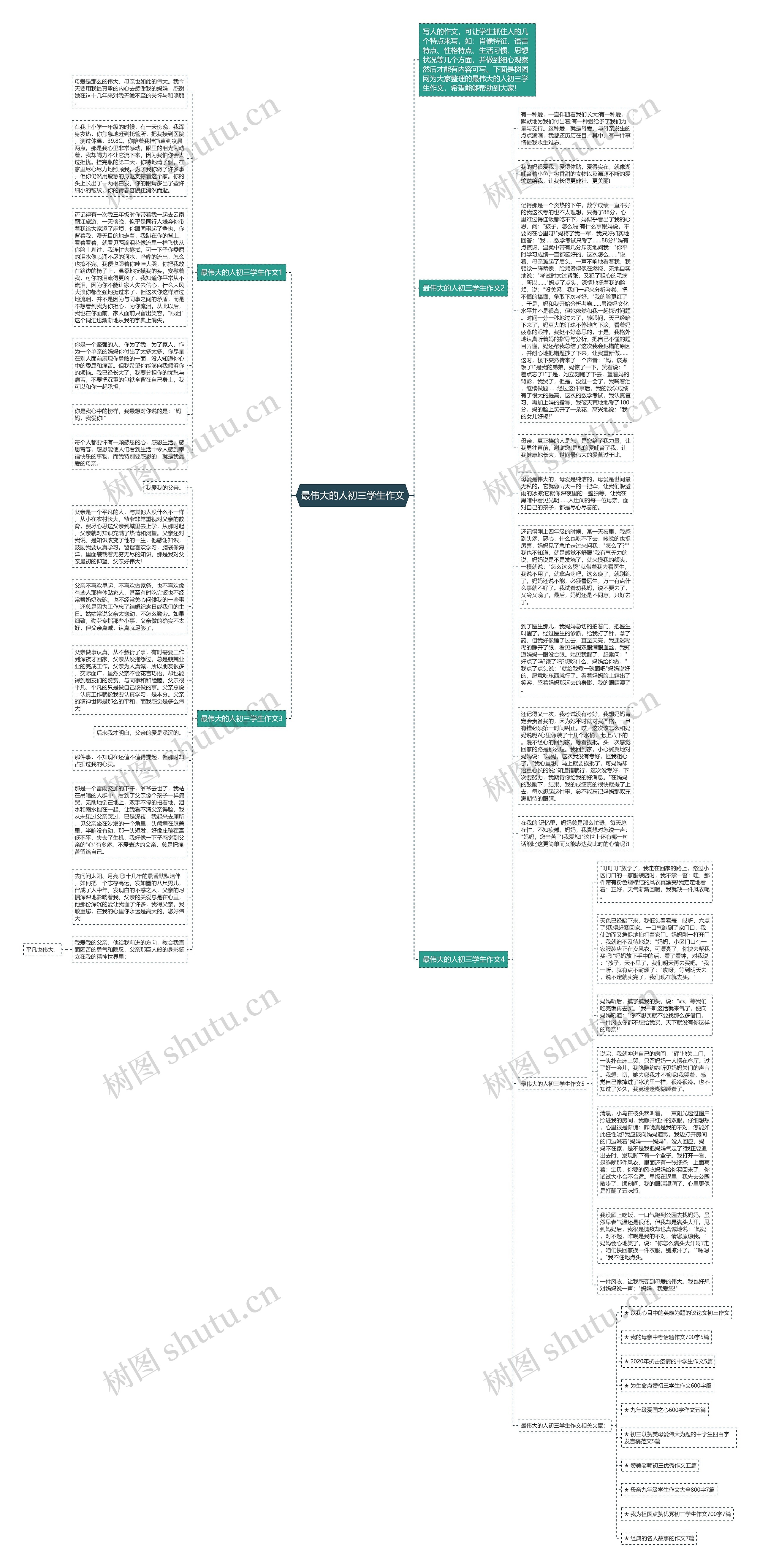 最伟大的人初三学生作文思维导图