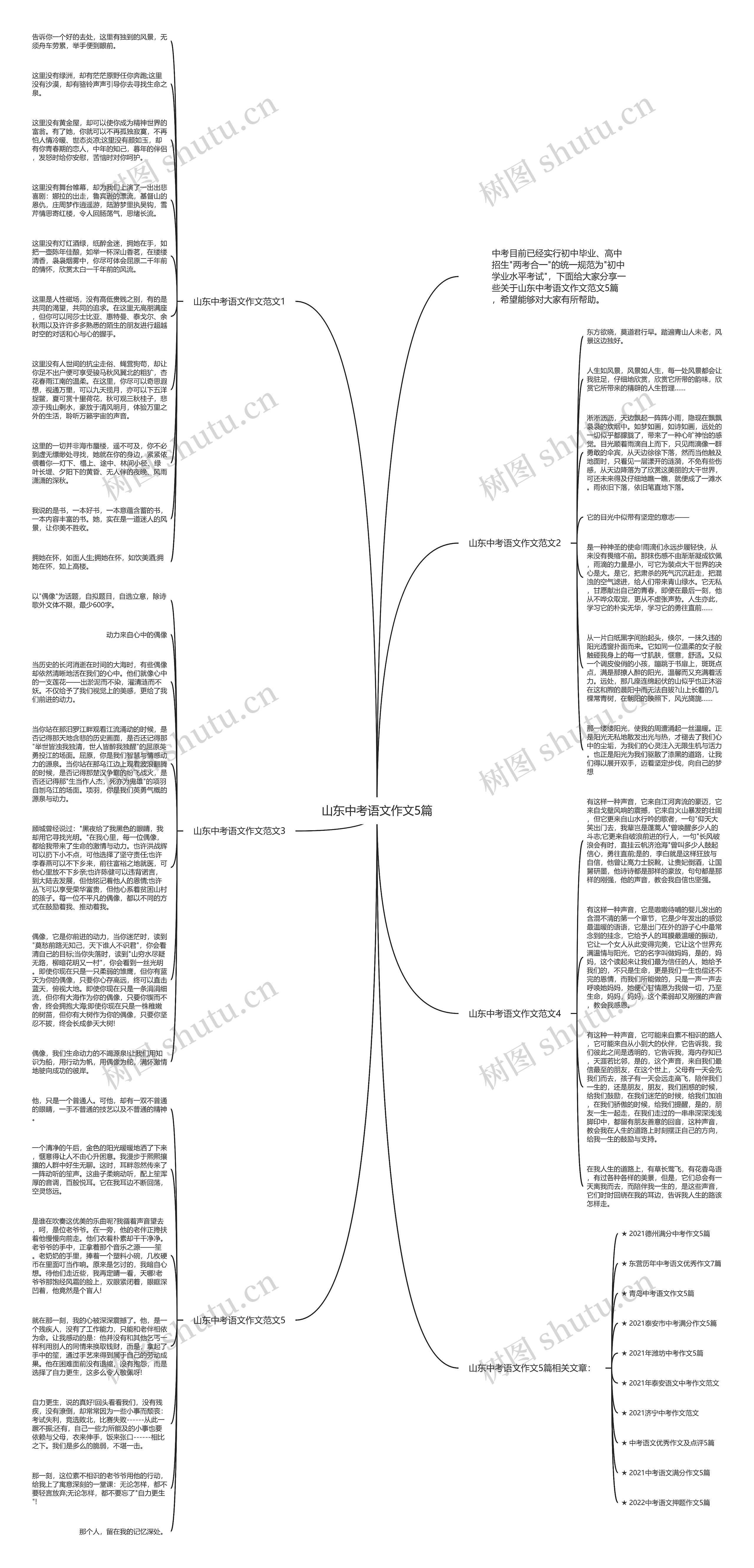 山东中考语文作文5篇思维导图