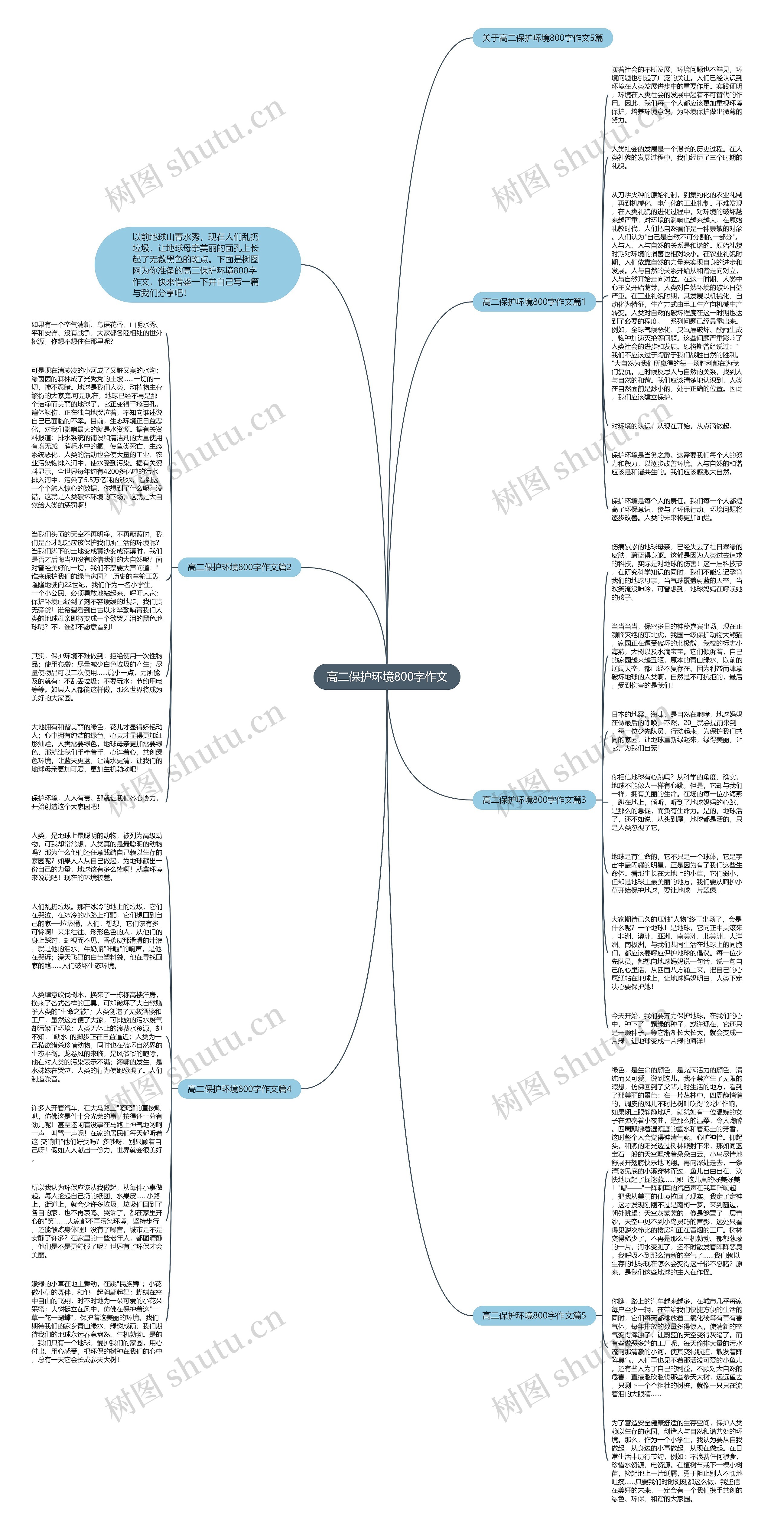 高二保护环境800字作文思维导图