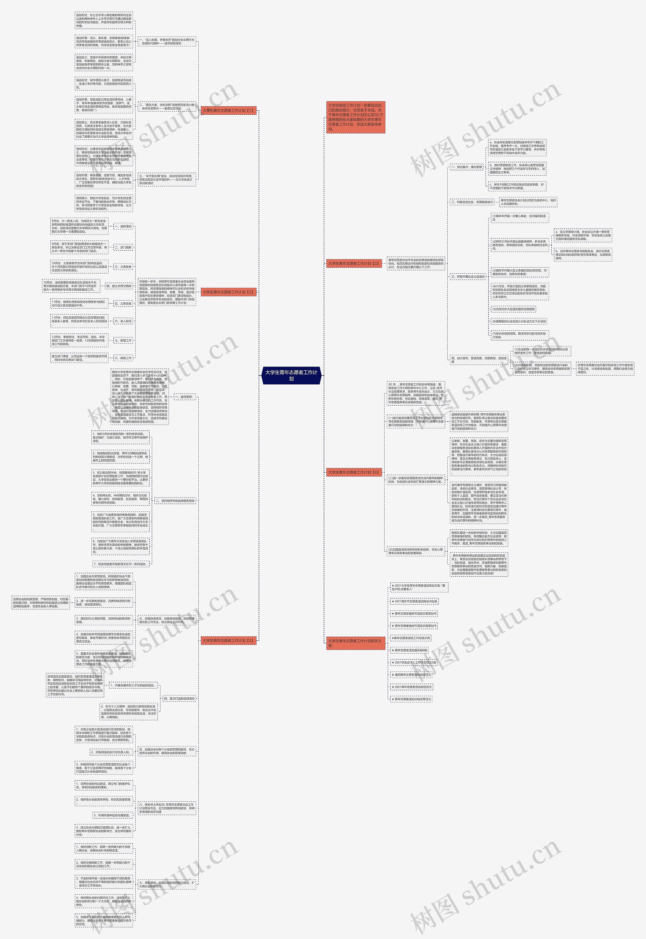 大学生青年志愿者工作计划
