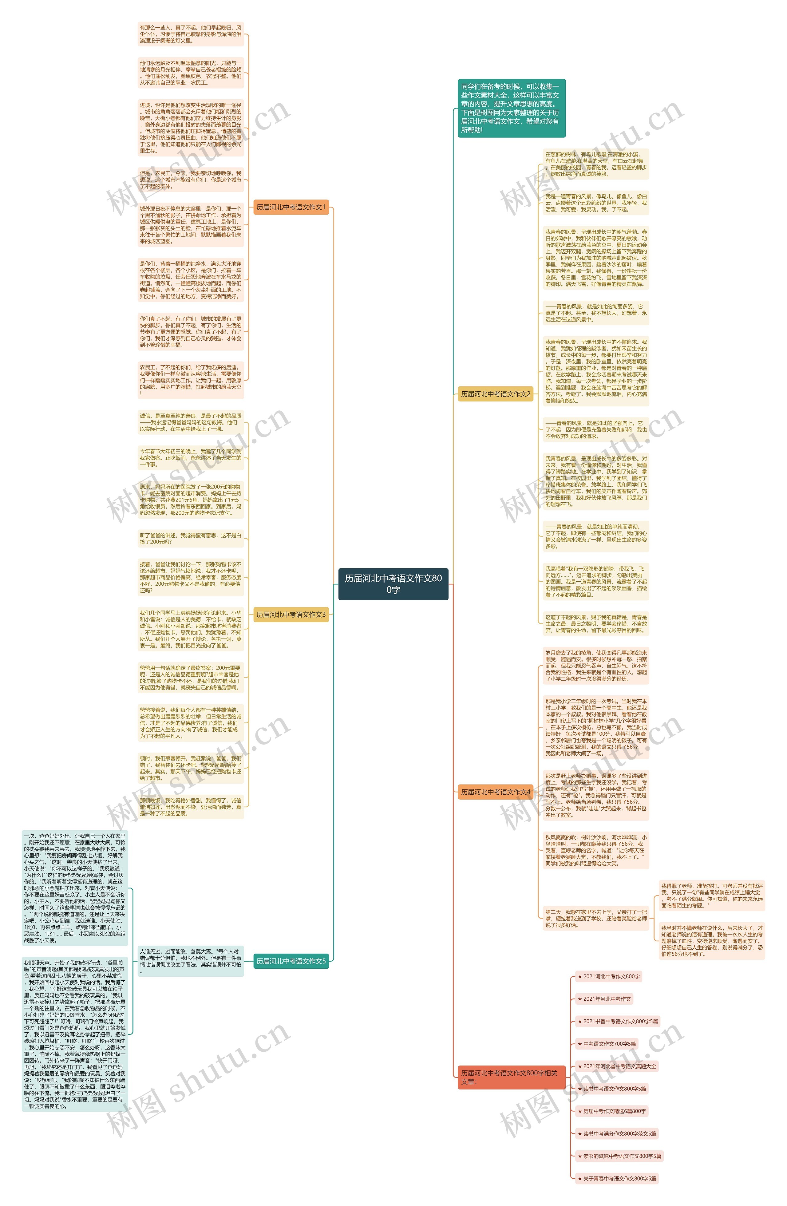 历届河北中考语文作文800字思维导图