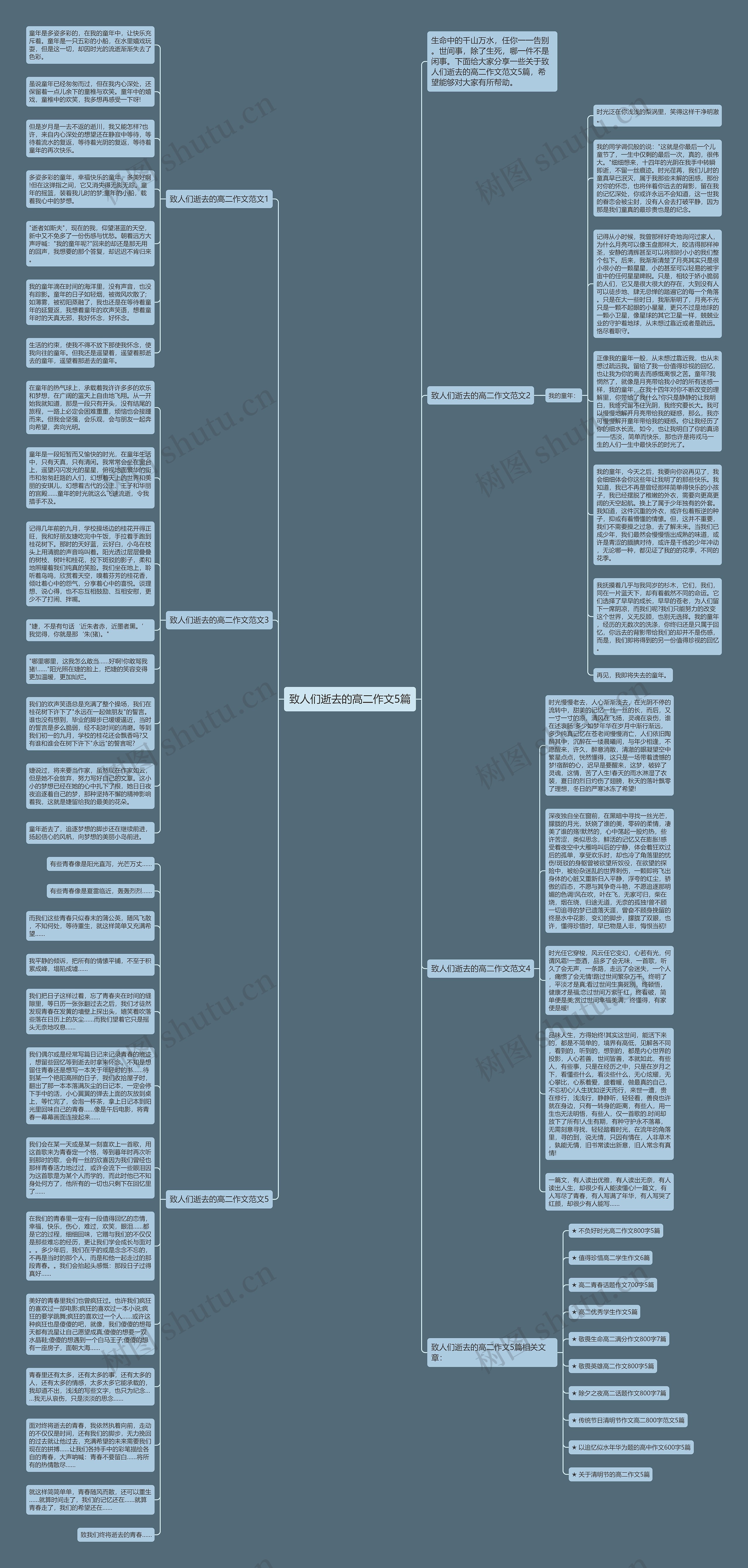 致人们逝去的高二作文5篇思维导图