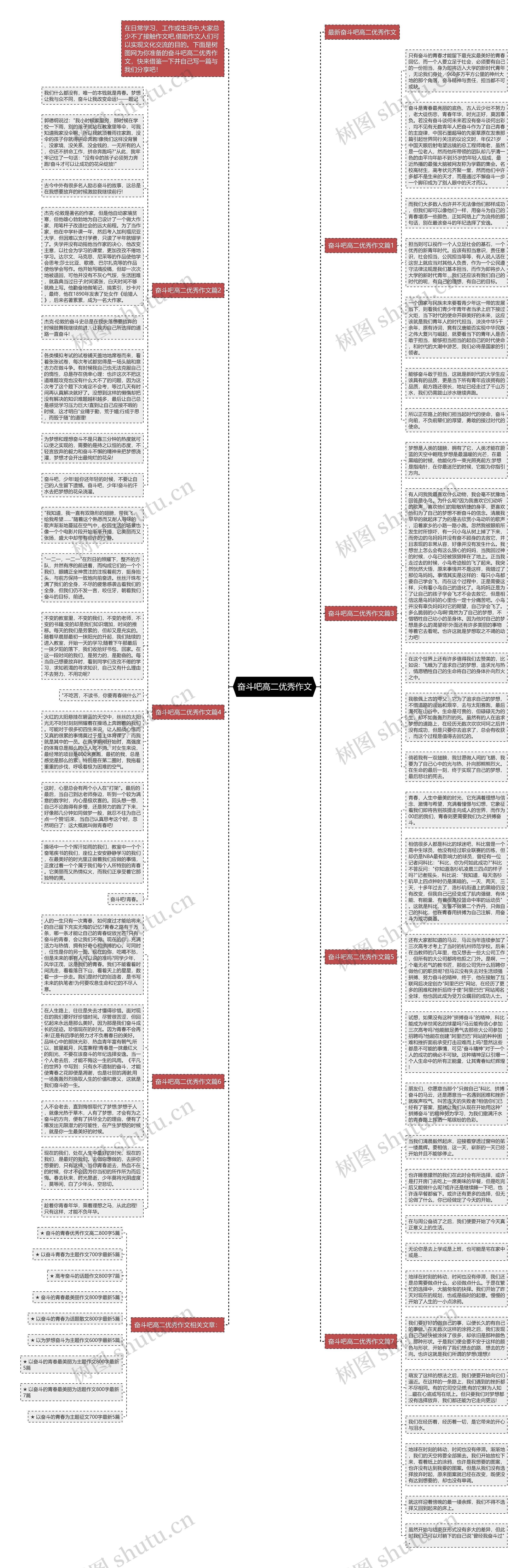 奋斗吧高二优秀作文思维导图
