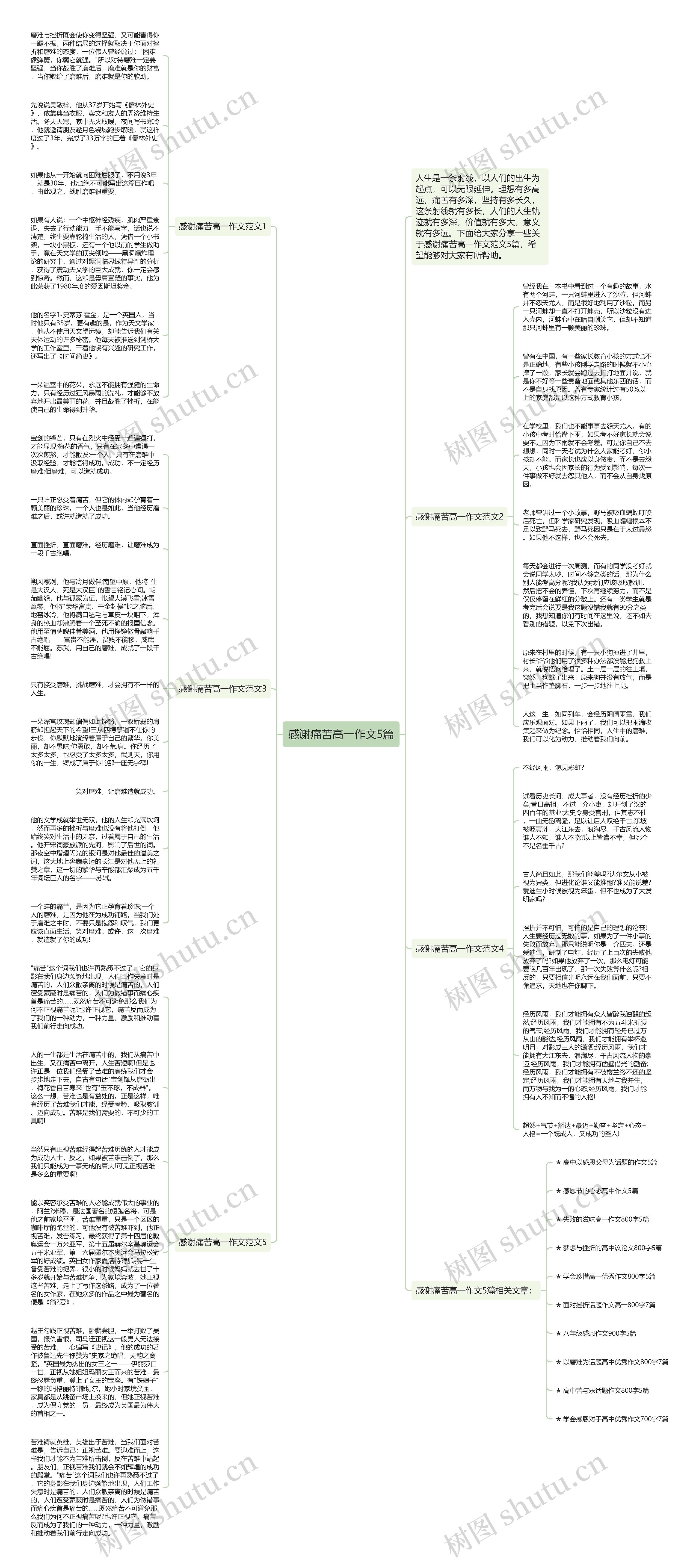 感谢痛苦高一作文5篇思维导图