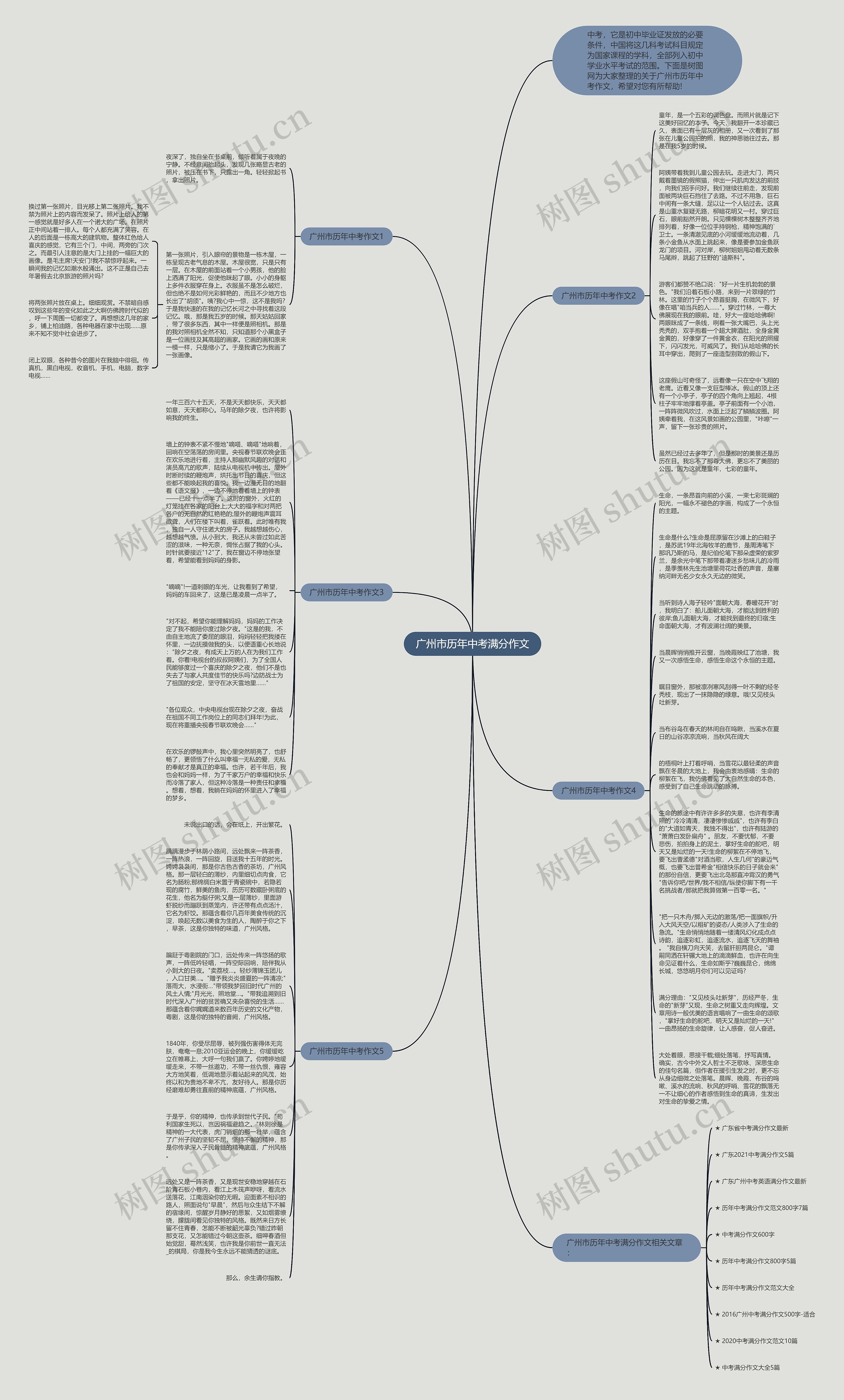 广州市历年中考满分作文思维导图